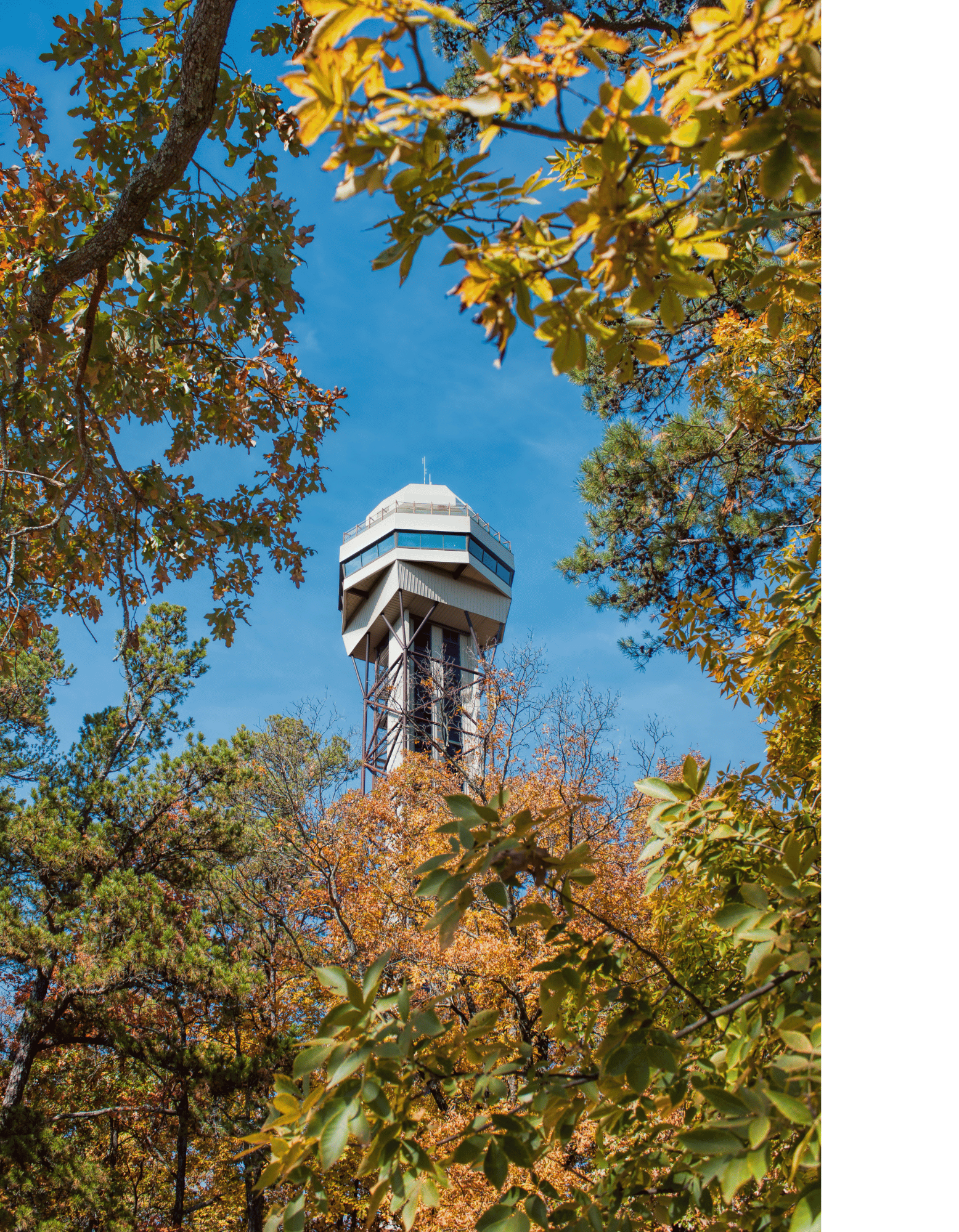Autumn leaves frame a view of Mountain Tower in Hot Springs National Park in Arkansas.