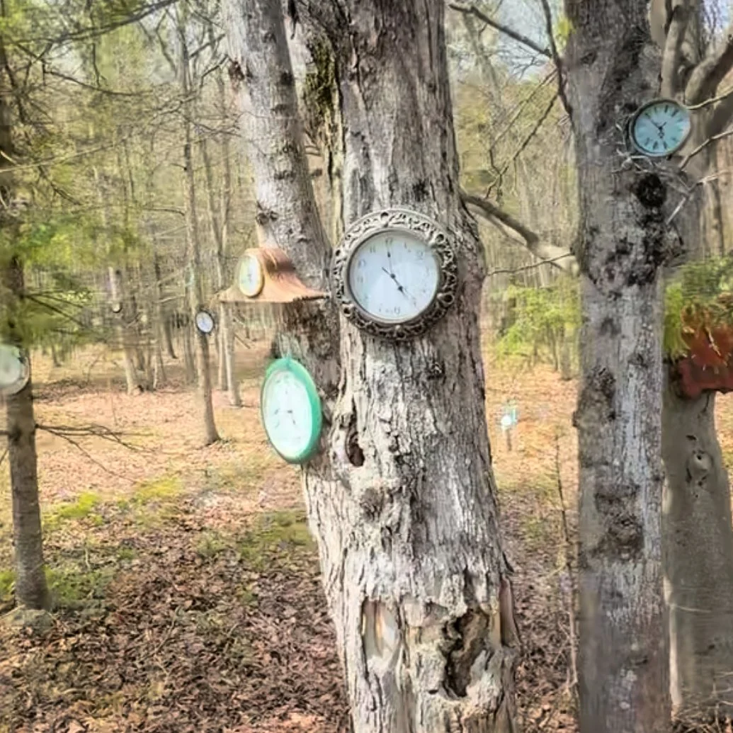 Hundreds of clocks of different sizes and styles hang from trees in the clock forest on Washington Island, Wisconsin.