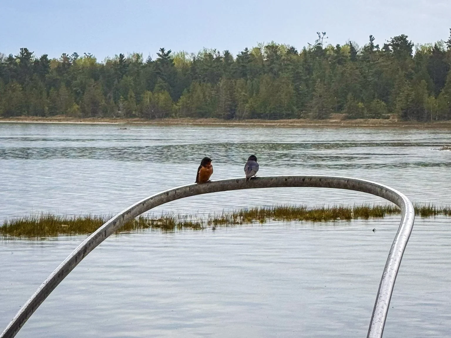 Two small birds perch on a U-shaped metal stern gantry over Jackson Harbor on Lake Michigan, near the northwest corner of Washington Island in Wisconsin.