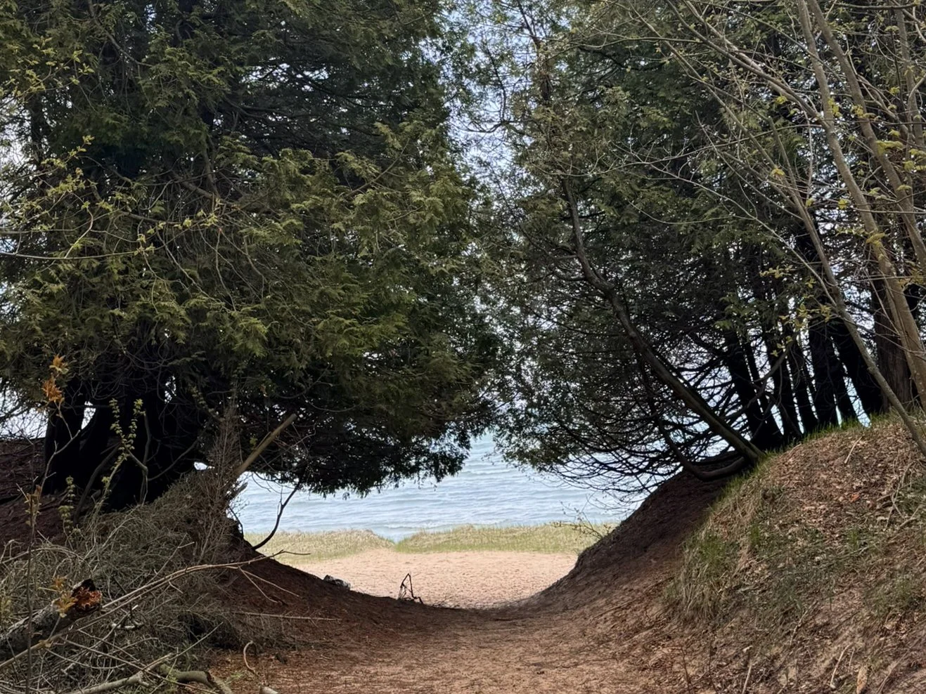 A wooded trail at Sand Dunes Park on Washington Island, Wisconsin, transitions toward a sandy Lake Michigan beach.