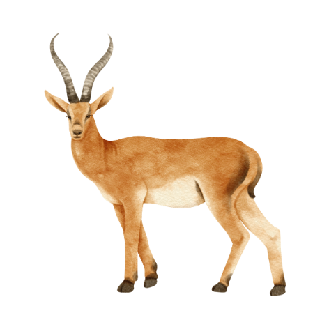 123.png