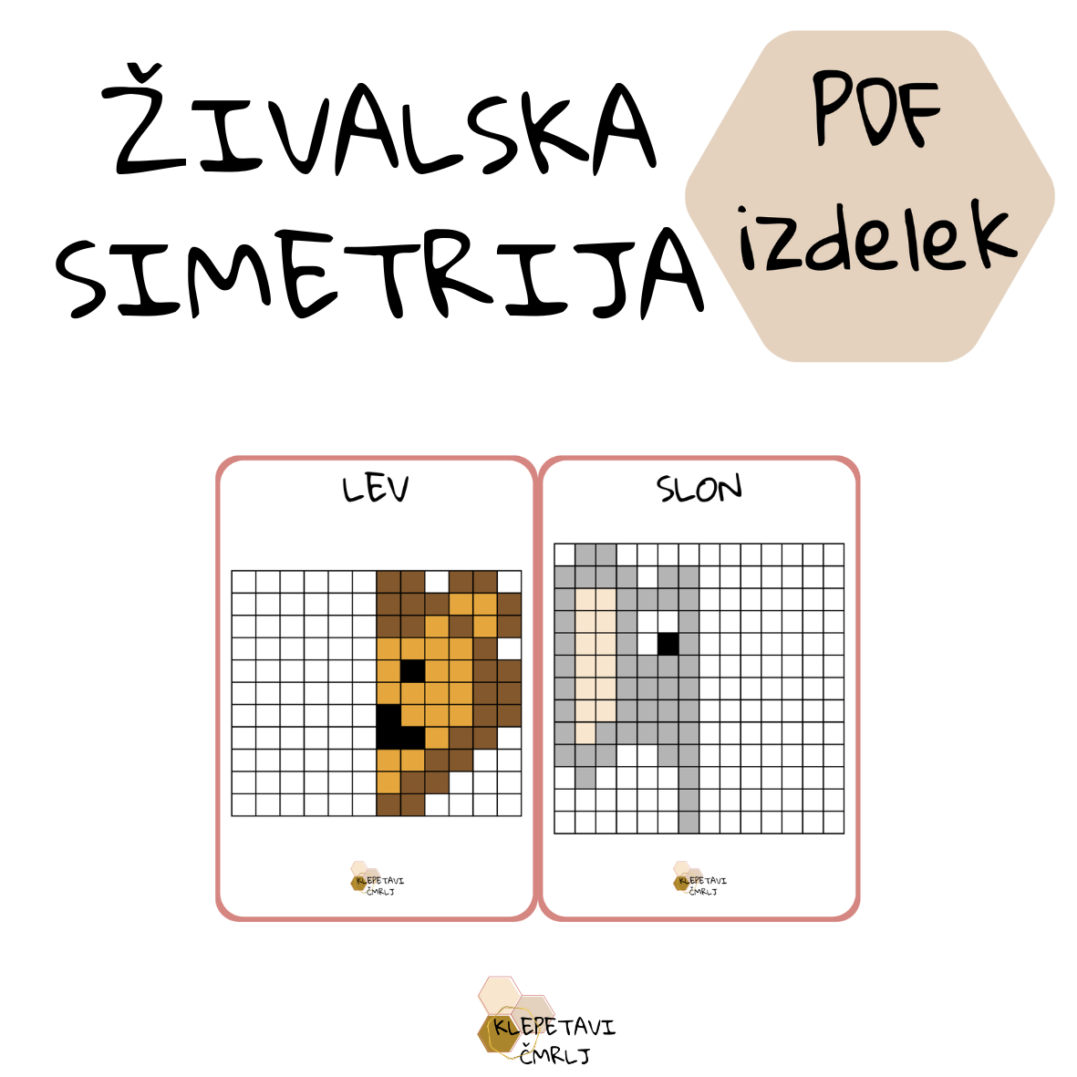 ŽIVALSKA SIMETRIJA