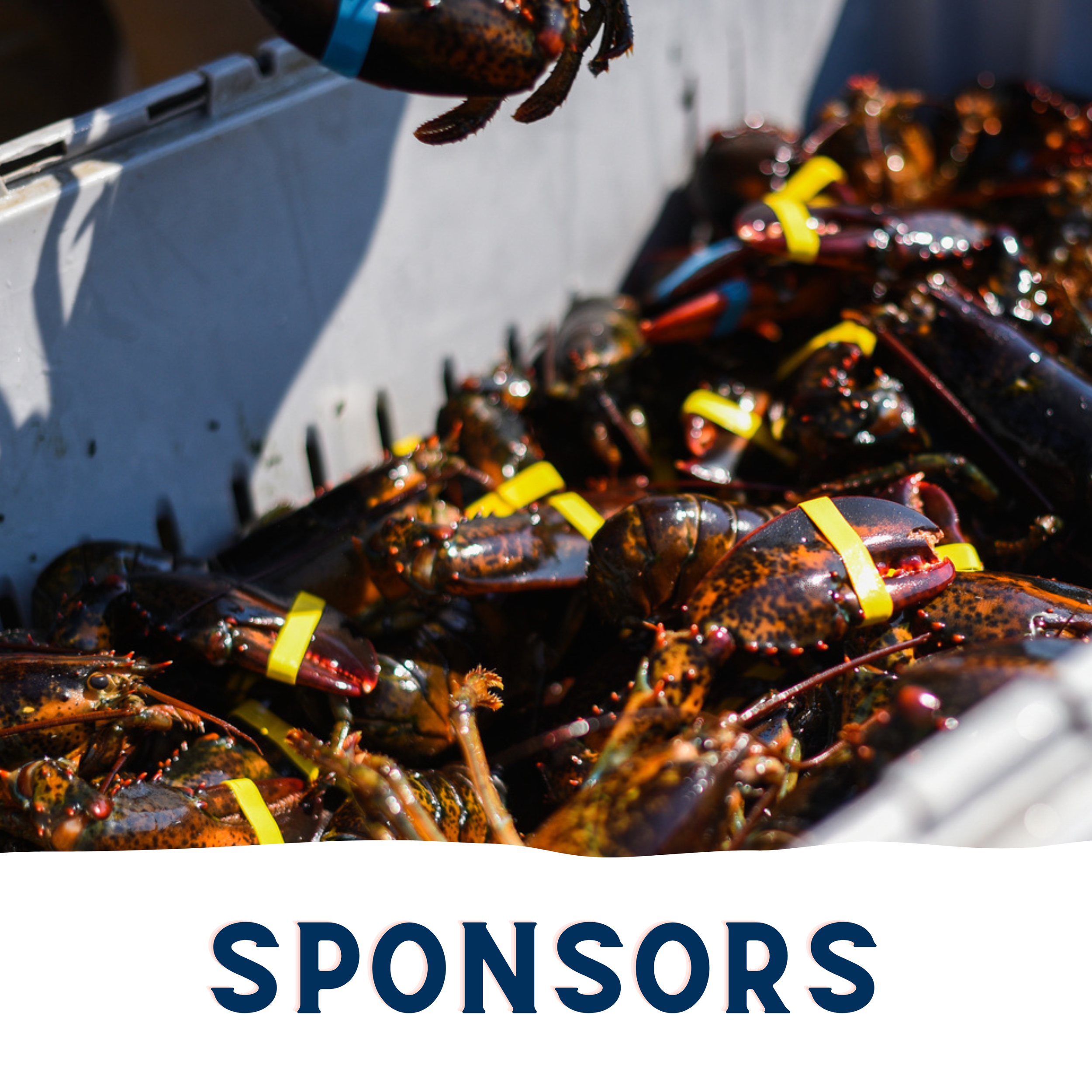 Boston Seafood