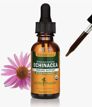 Echinacea Root Extract