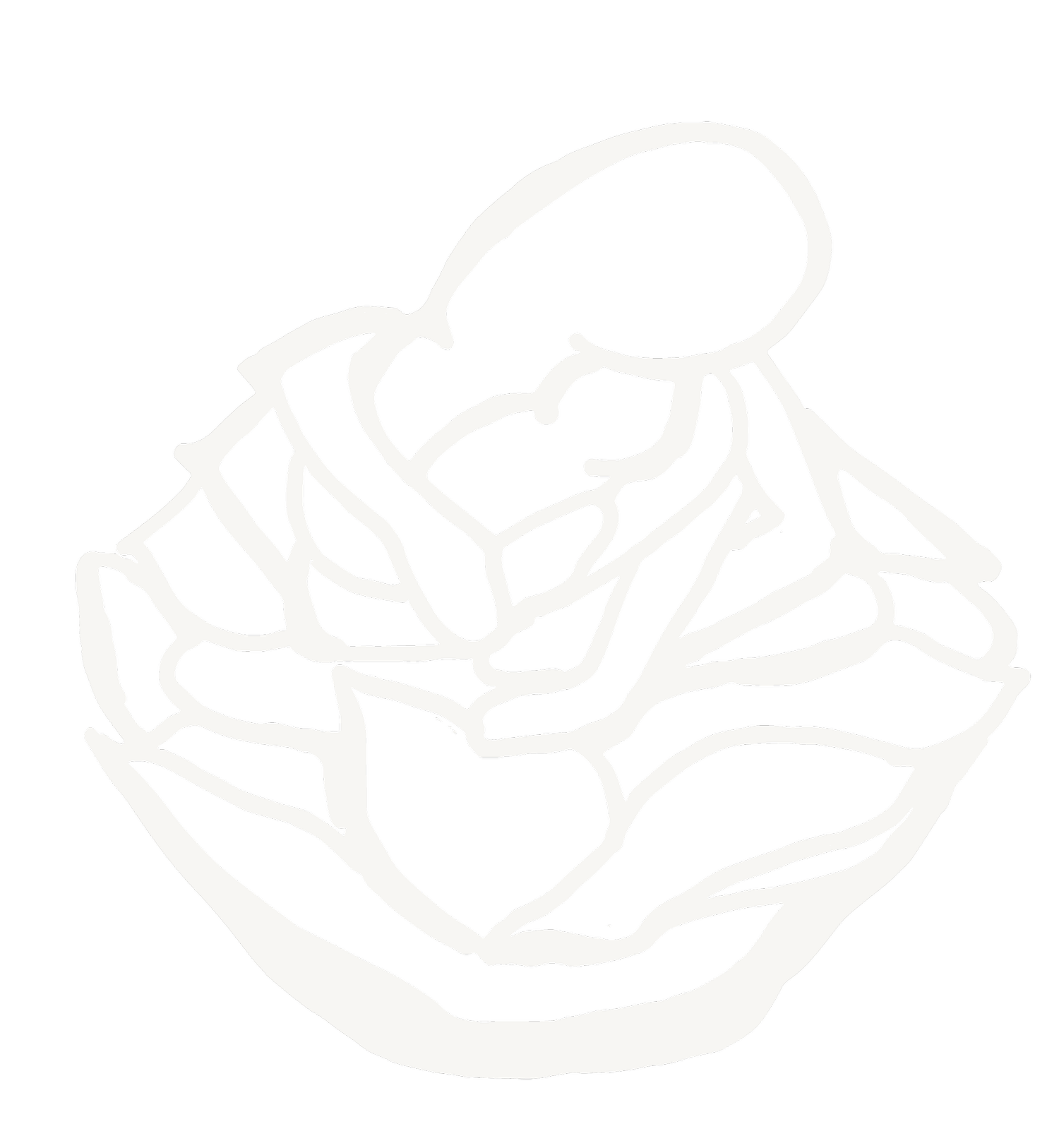 Due Care Doula