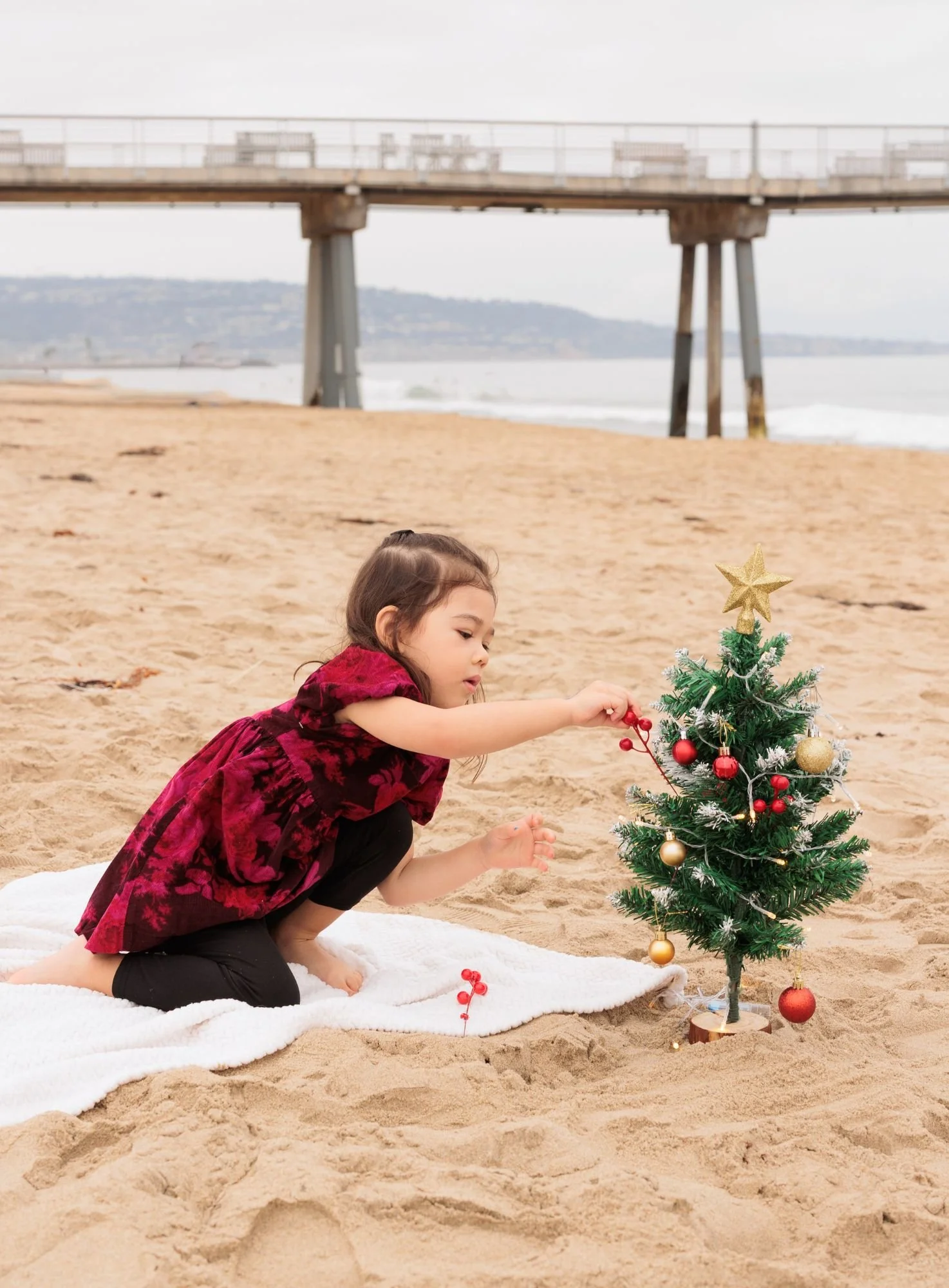  Holiday mini photo session, Mini session photography in Los Angeles, Mini session photographer LA 