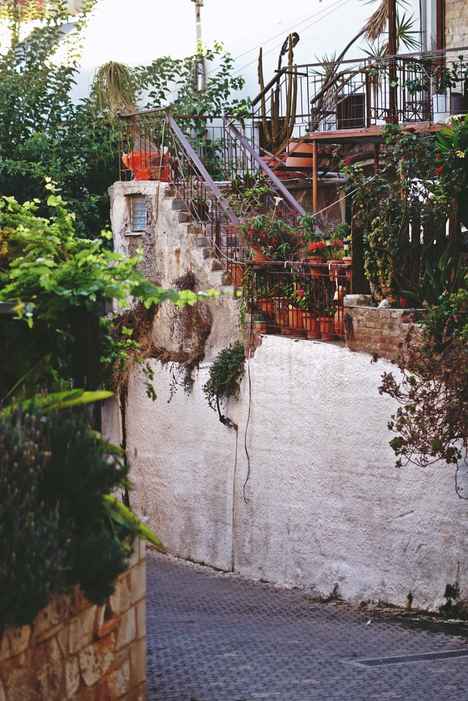DSC01716.JPG
