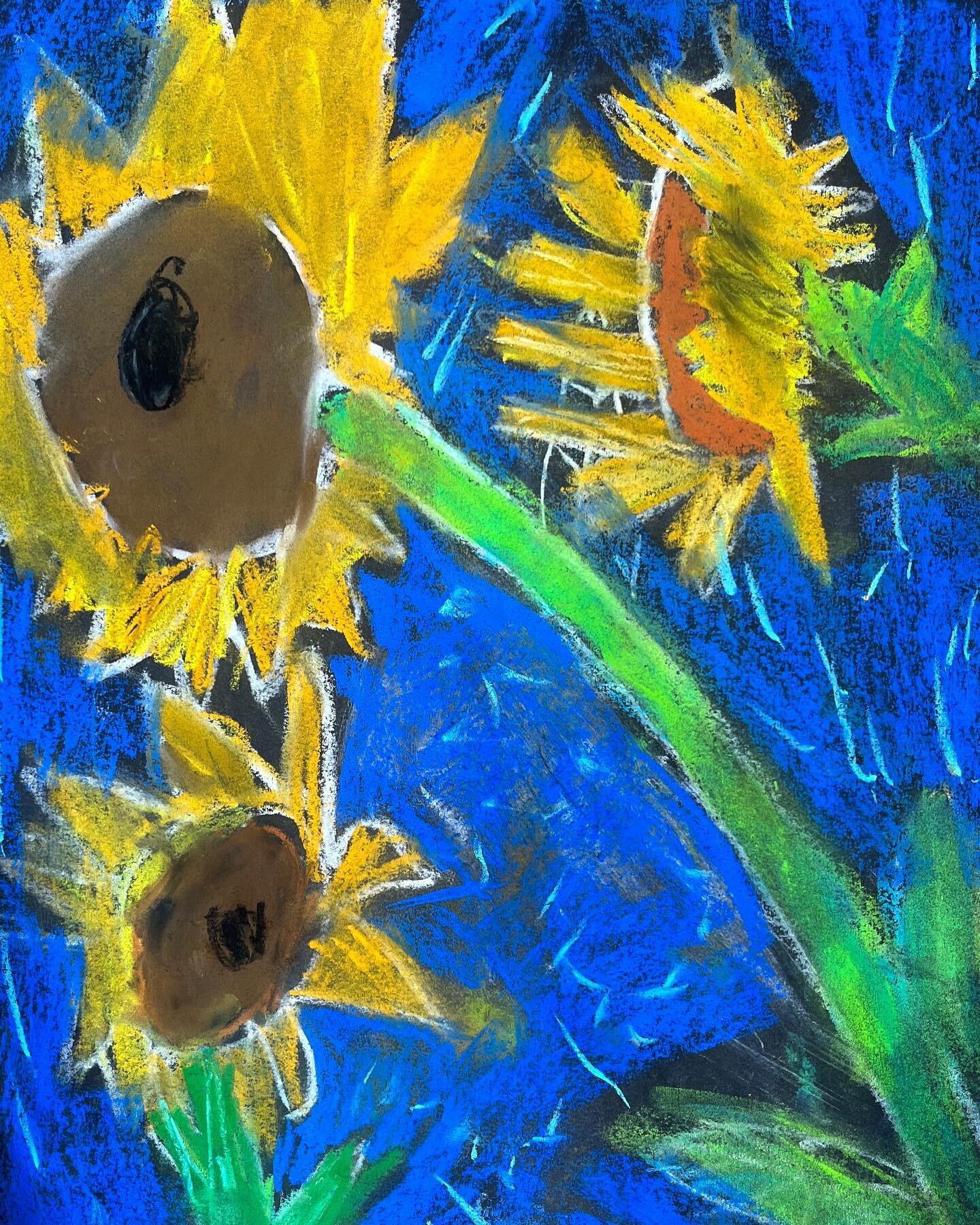 Chalk pastel sunflowers Love all the colors. 1st -  3rd grade.