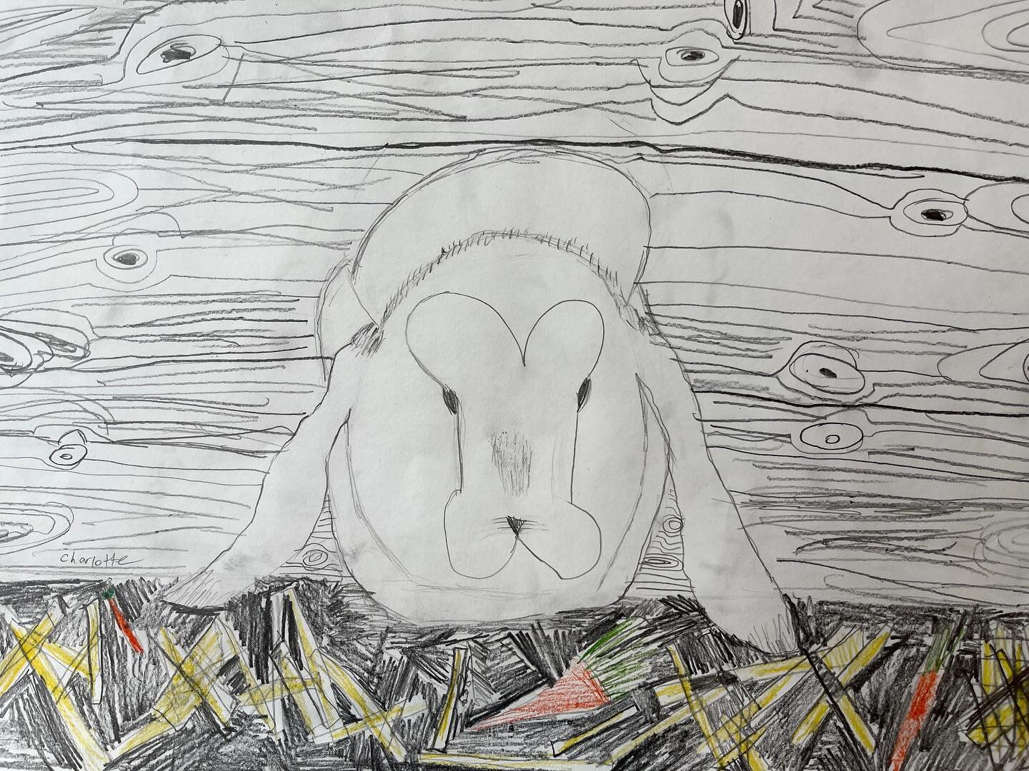 Spring bunnies. Pencil and colored pencil. Great line work. 
.
.
.
.
.
#elementaryarteducation #artteacher #artforkids #artprojectforkids #arteducation #pencil