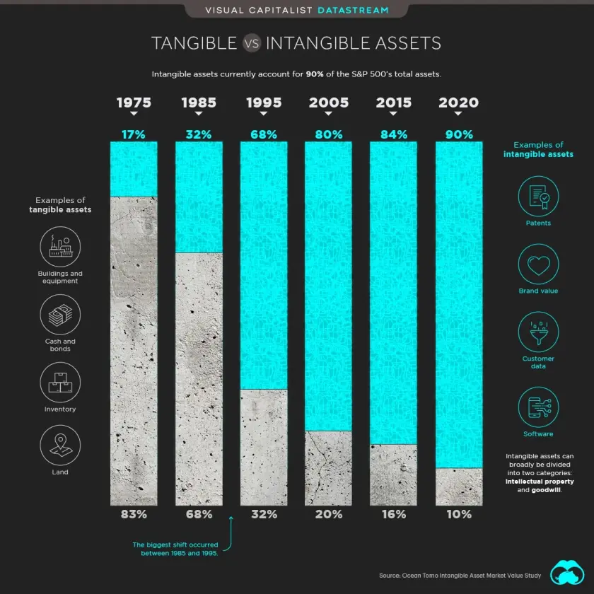 ds-tangible-vs-intangible-assets-1.webp.png