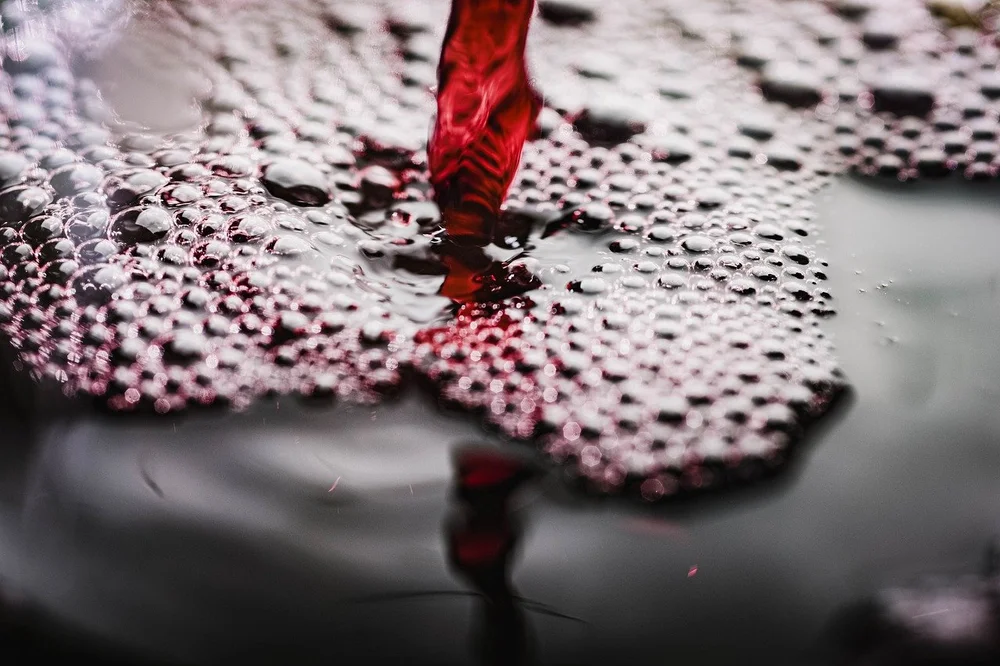 wine-7467085_1280.jpg