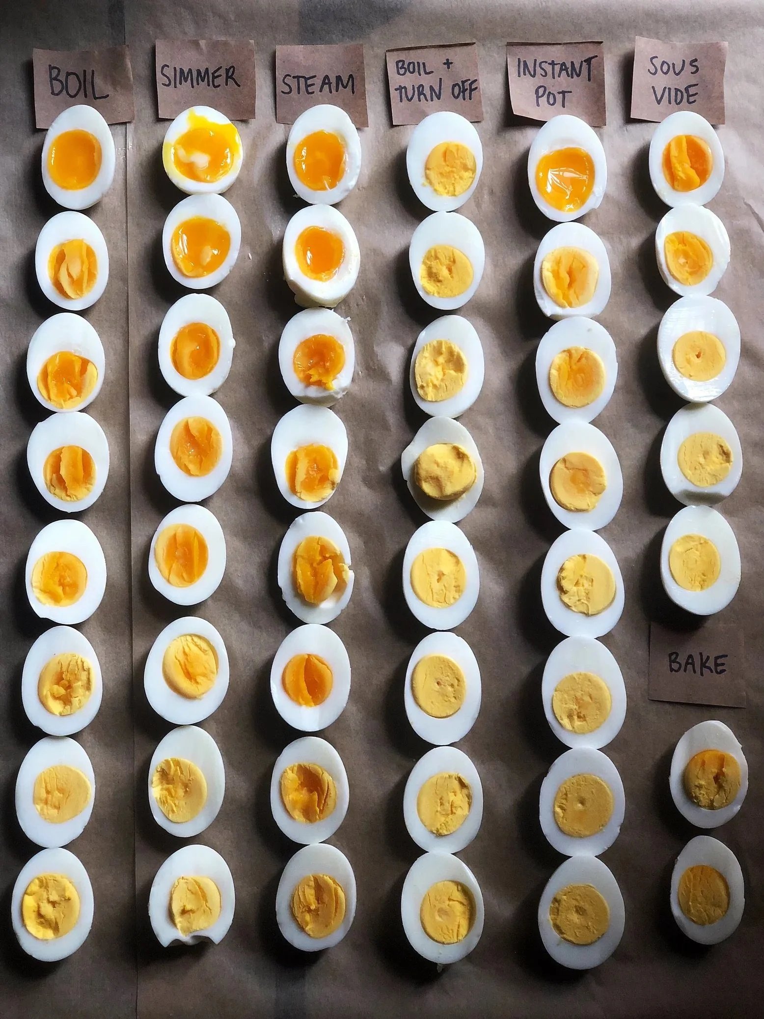 Ella Quittner Eggs-Image_3.jpeg