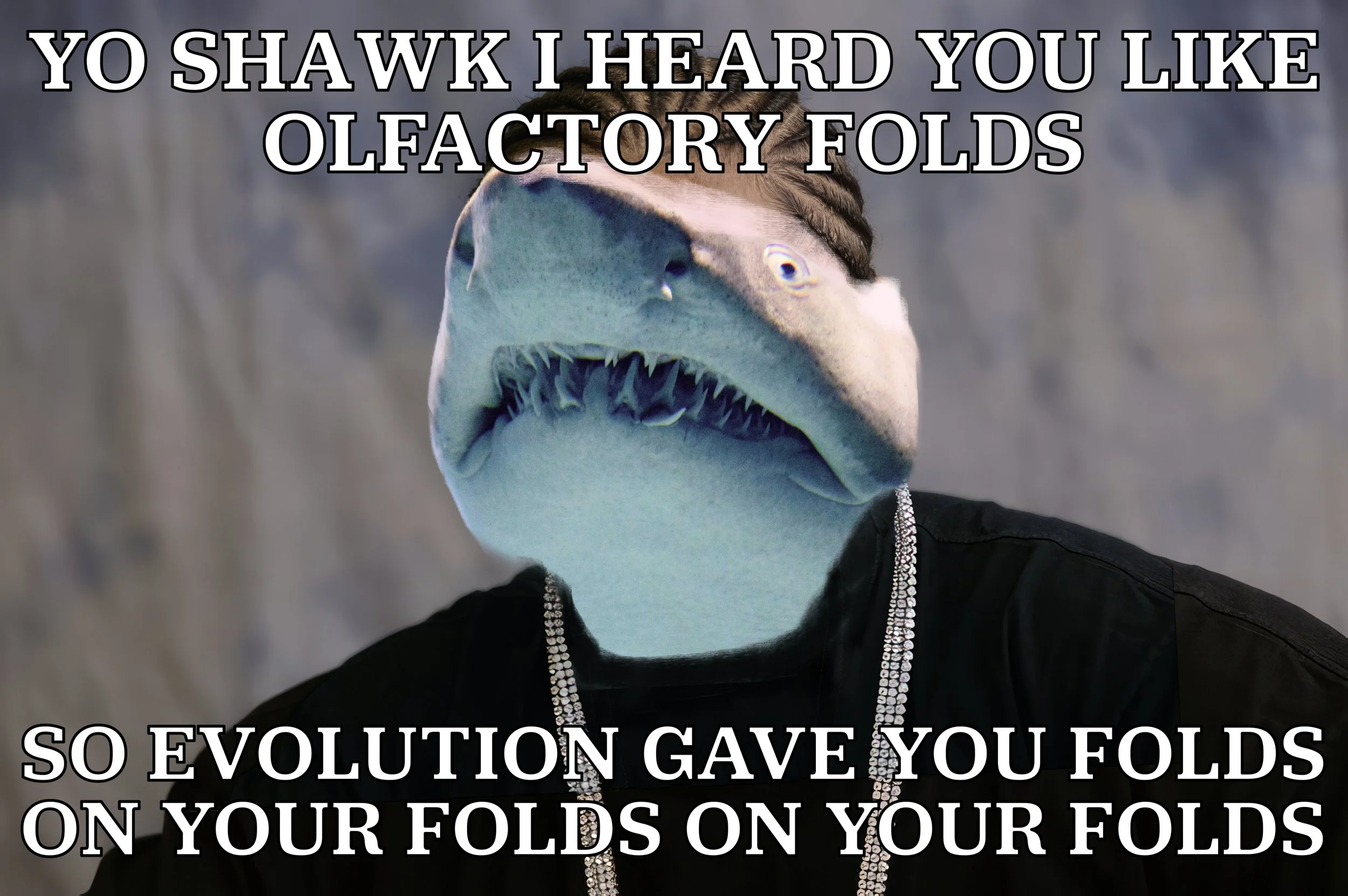 SHAAAAAAAARRRRKKKKS (feat. Jaida Elcock) | Pod 90