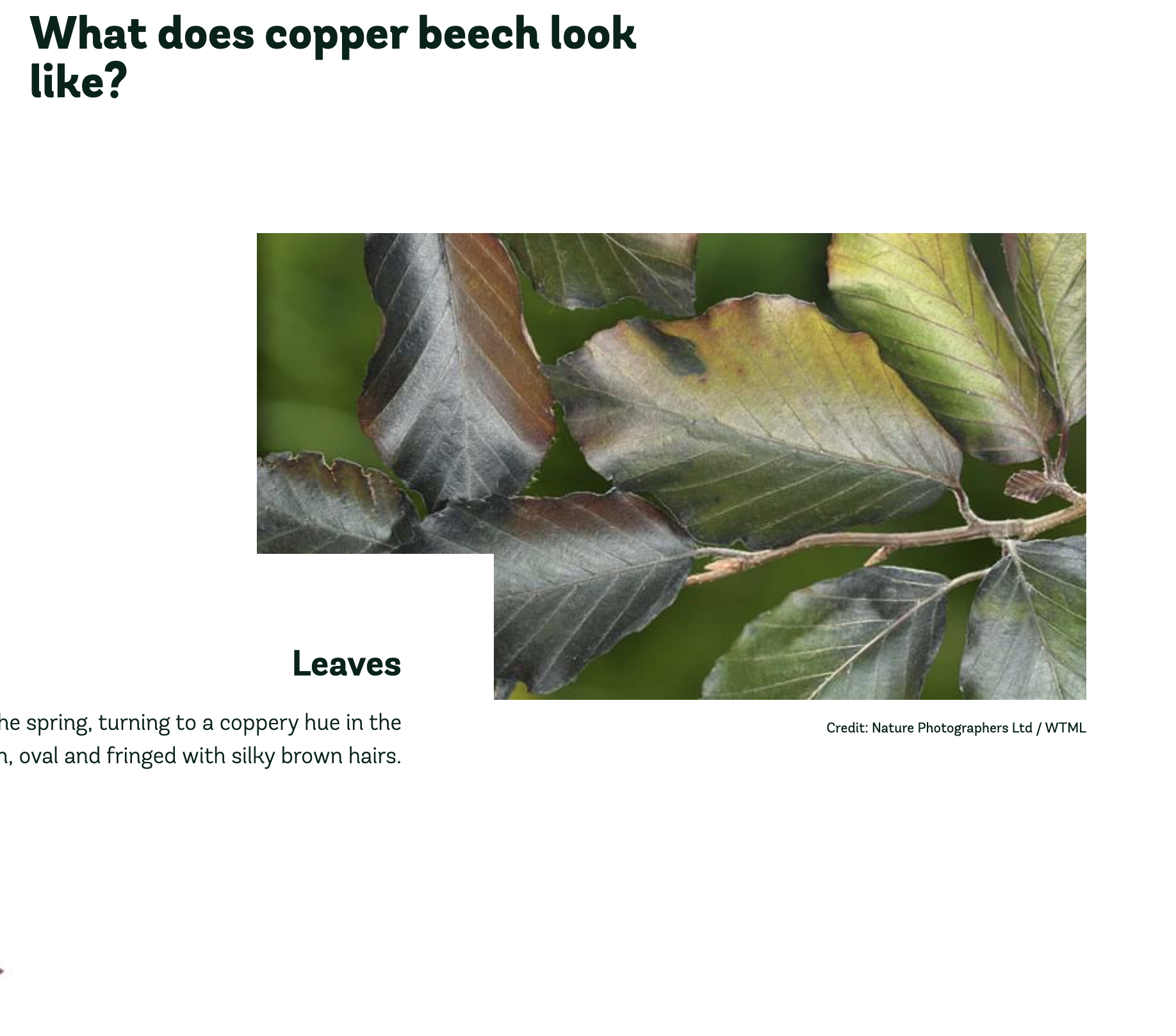 Screenshot 2025-08-20 at 8.22.52 PM.png