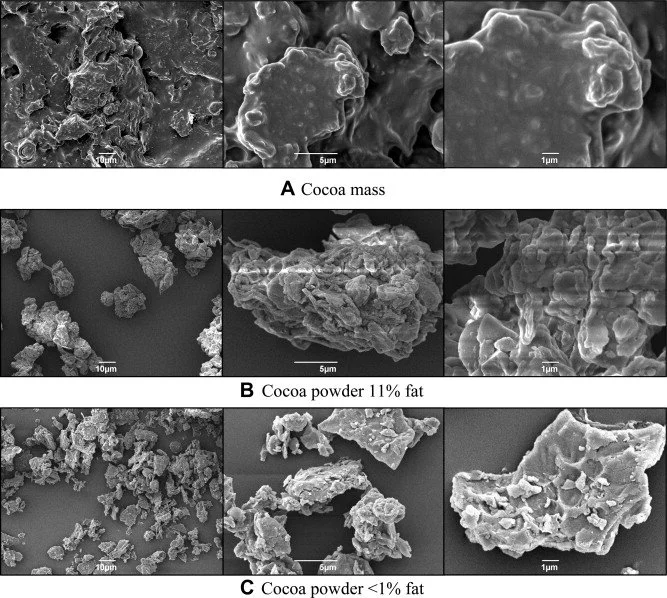 LWT - Food Science and Technology_Cocoa under microscope_1-s2.0-S0023643810003506-gr2.jpg