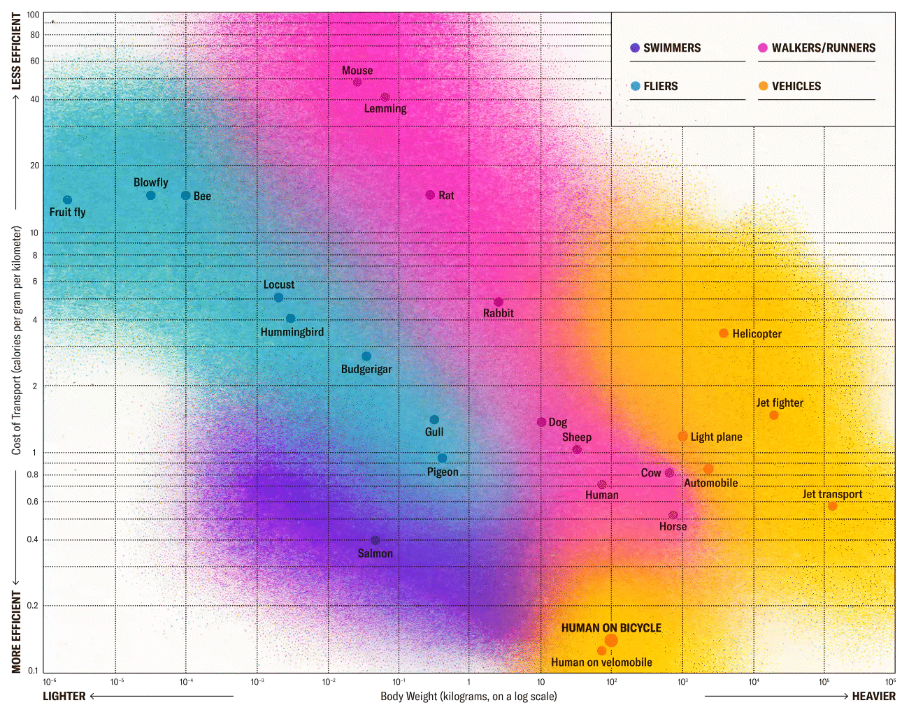 sciam energy diagram.gif