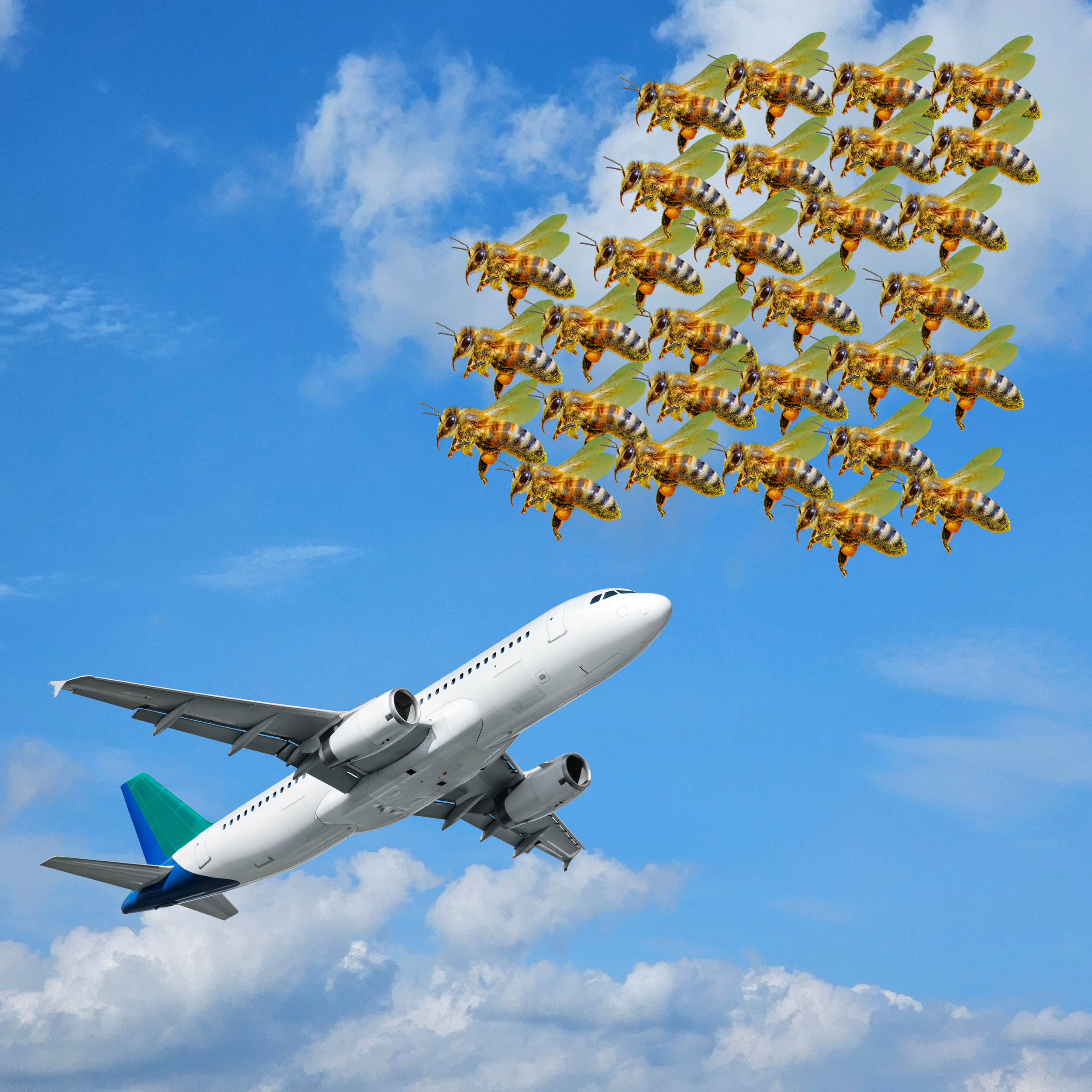 When Wildlife ATTACKS | Pod 102