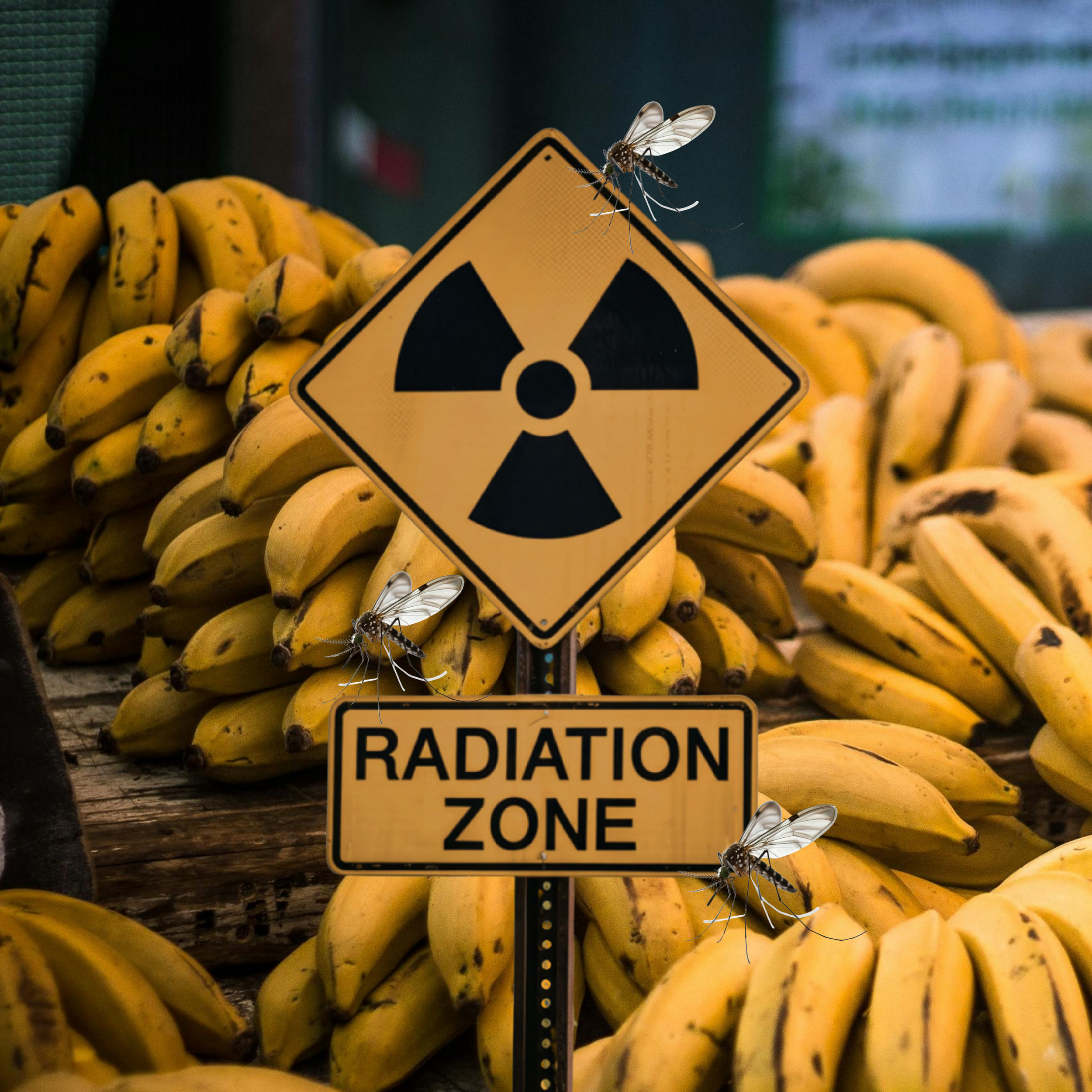 Massacring Mosquitoes with a Billion Bananas - An Episode Specifically for Hannah | Pod 83