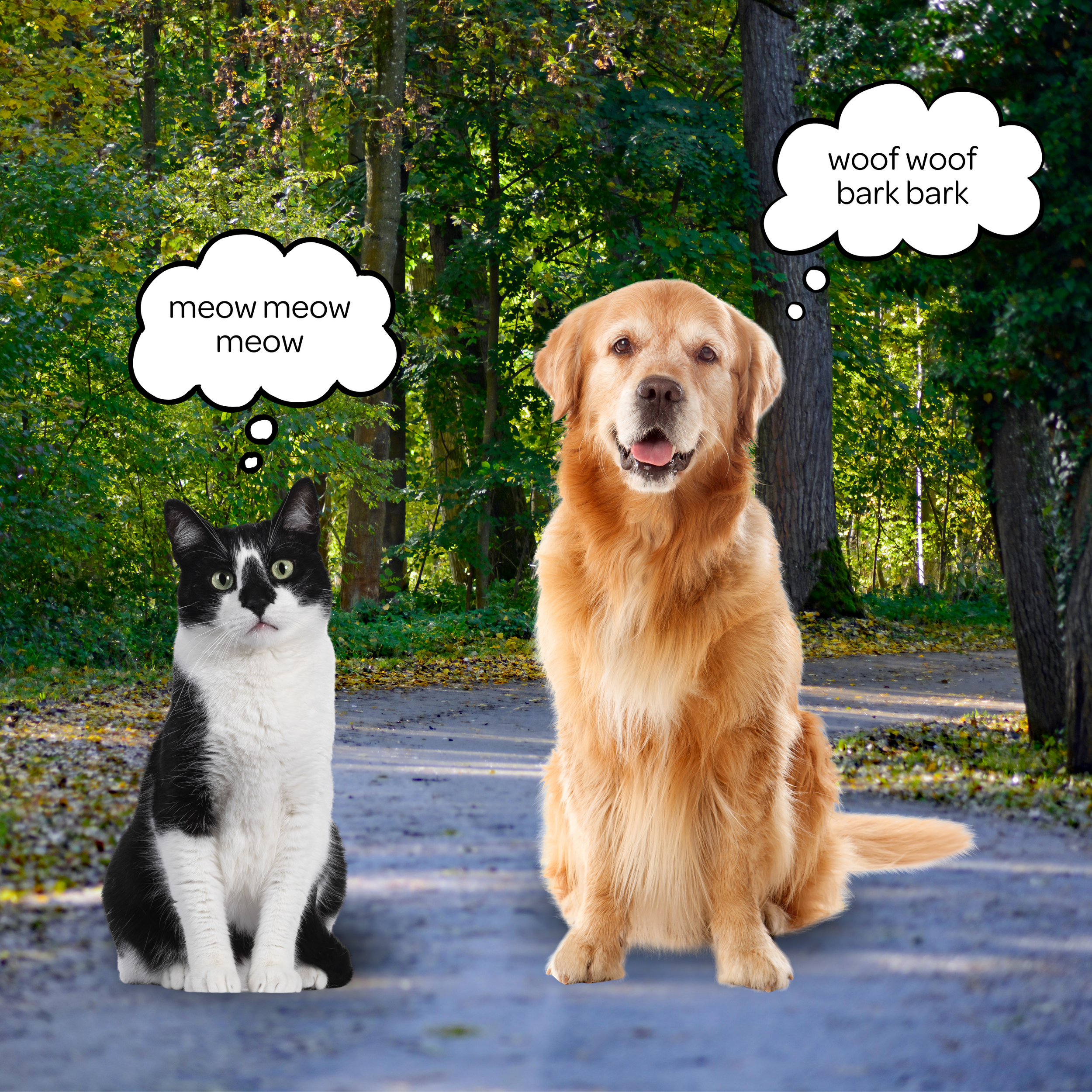 Terminal Thoughts | Pod 75