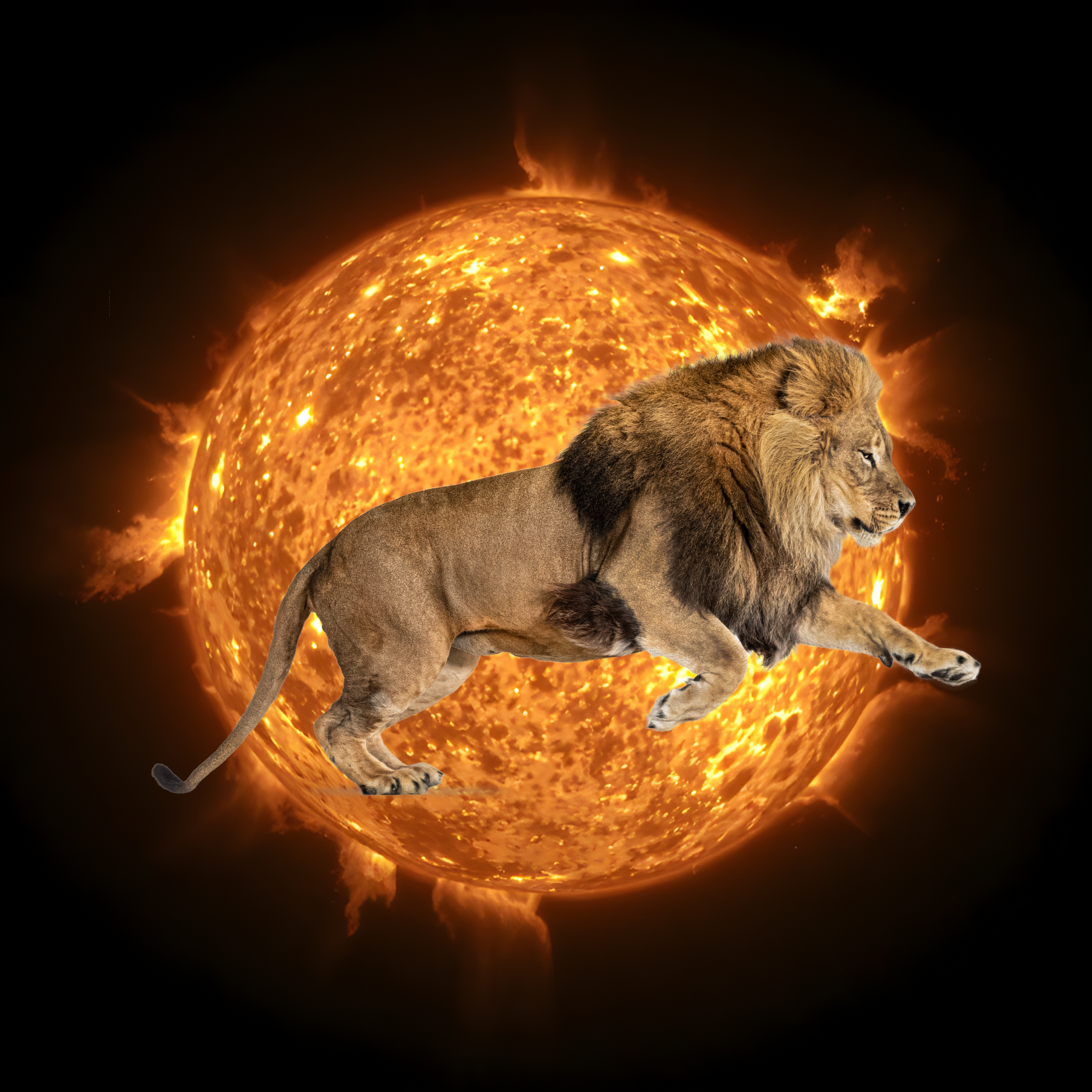 Outweigh. Outshine. Outlast. | Pod 70