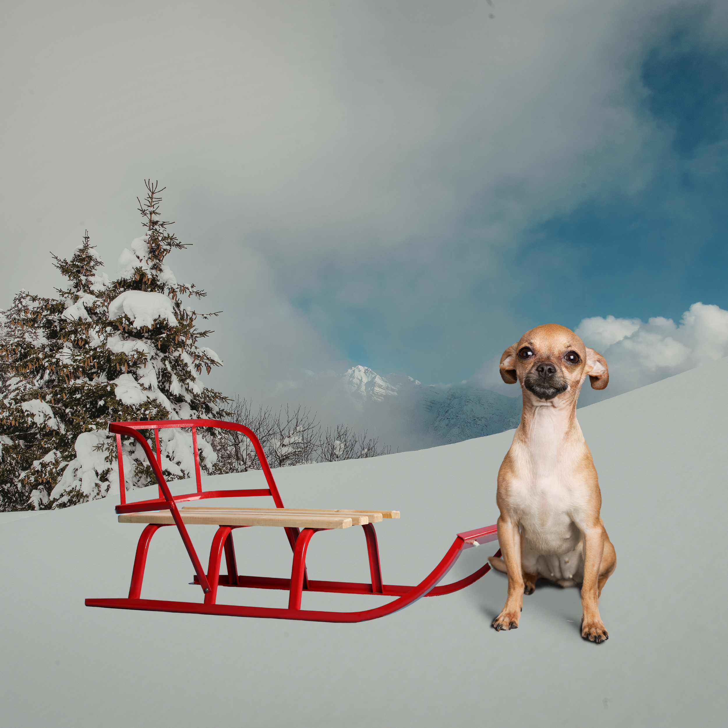 AI Chefs and Unqualified Sled Dogs | Pod 67