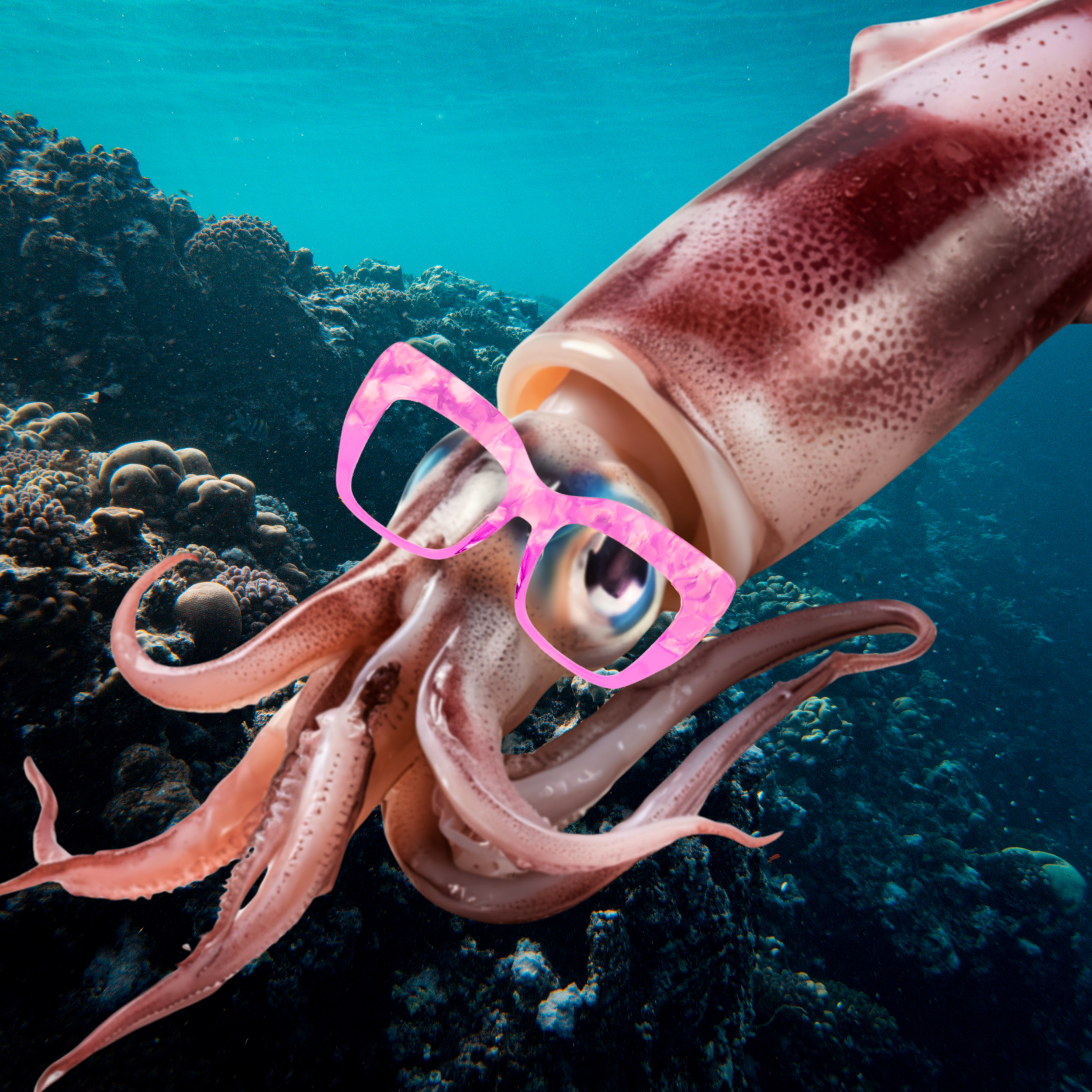 Do Squid Need Glasses? | Pod 122