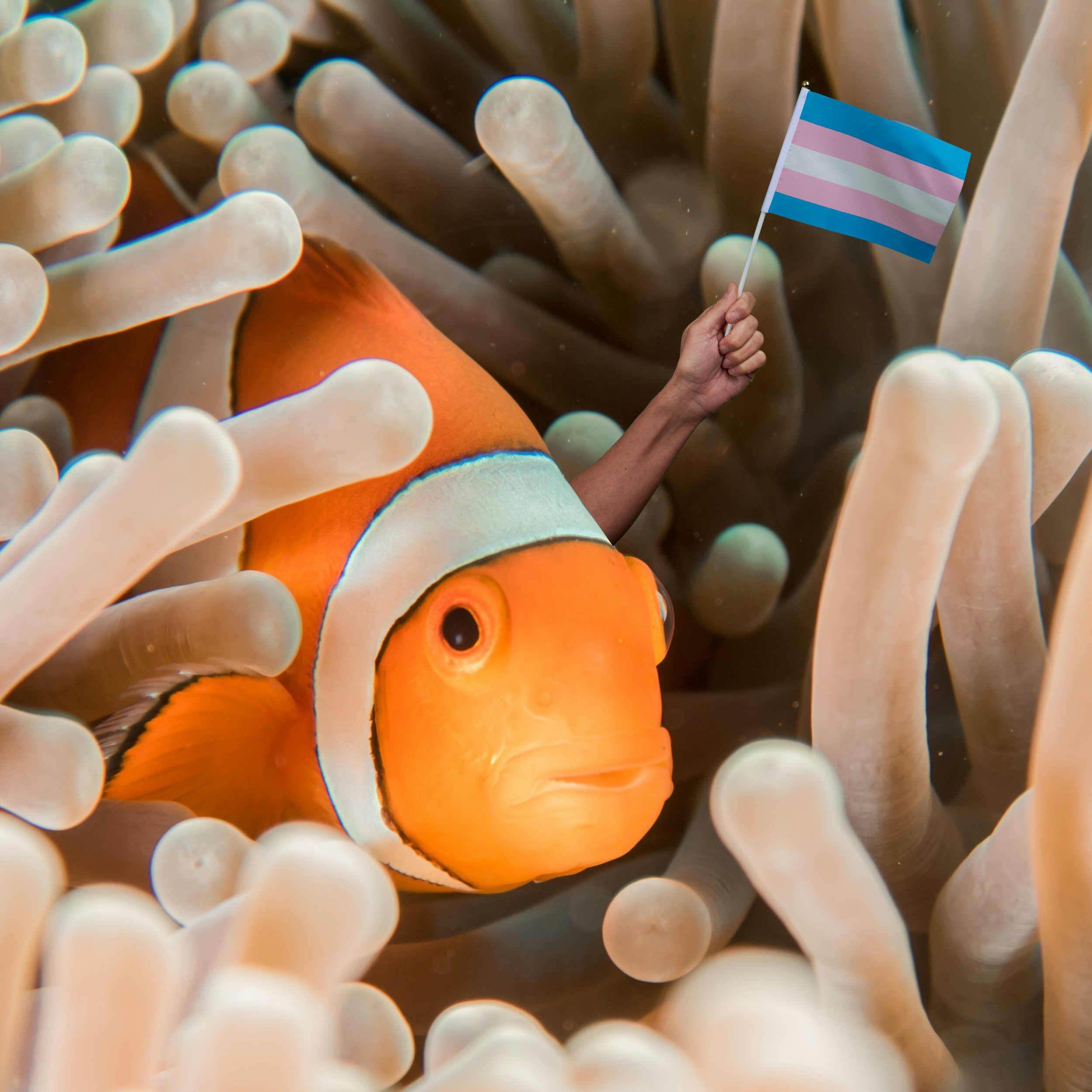 Cherenkov Radiation &amp; Clownfish Polycules | Pod 133