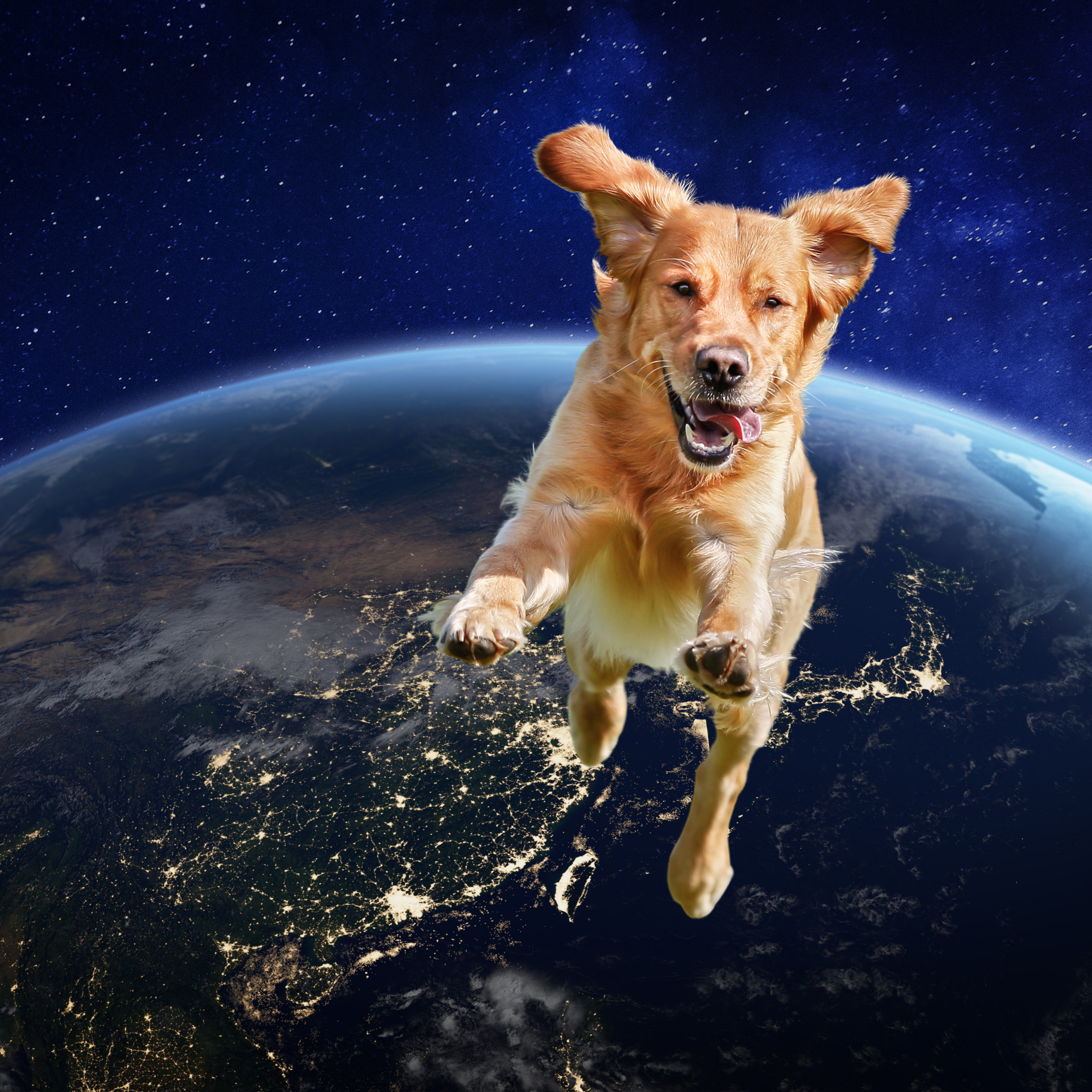 Ten Seconds of Zero Gravity… Every DAY?! | Pod 137