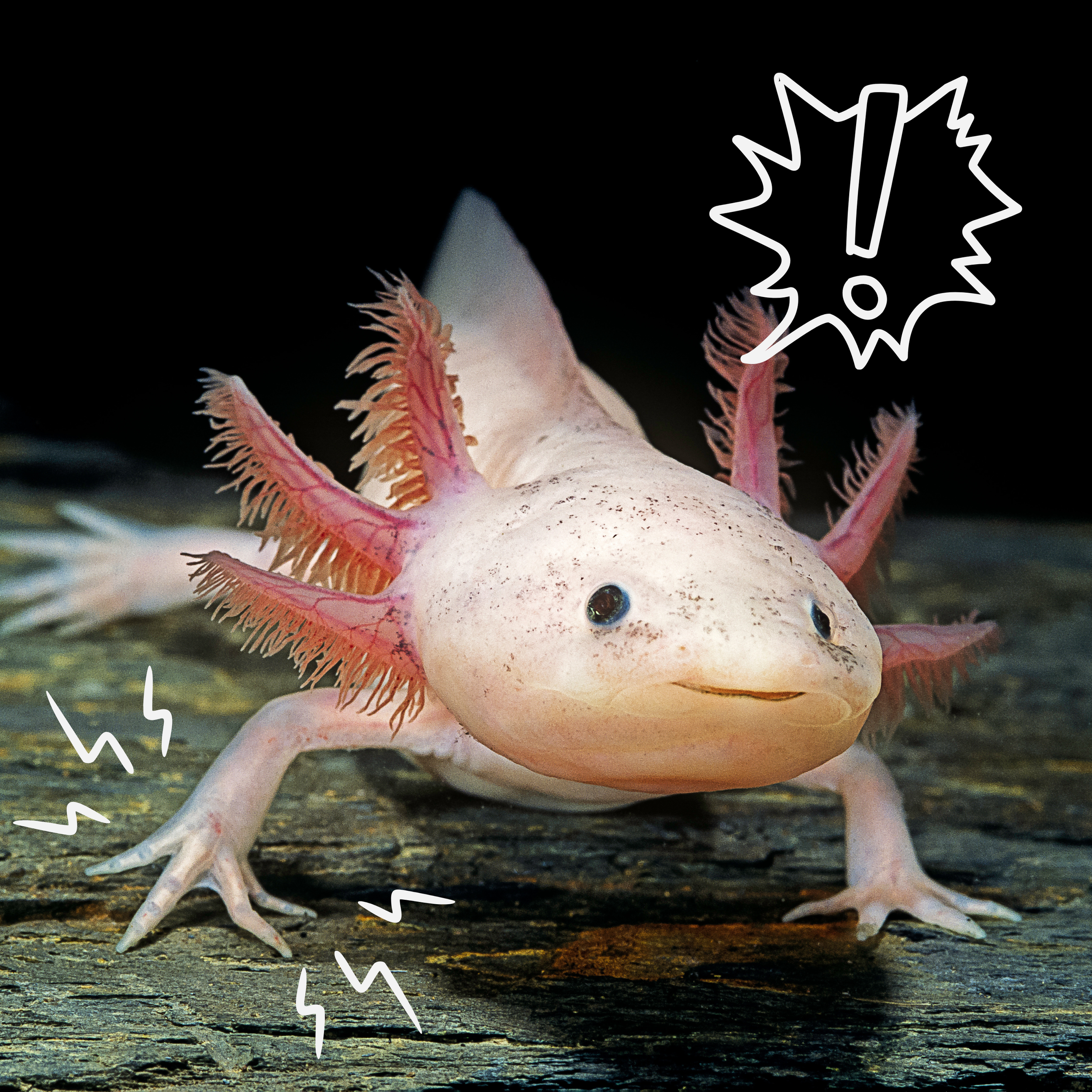 Horror of Human Limb Regrowth | Pod 139