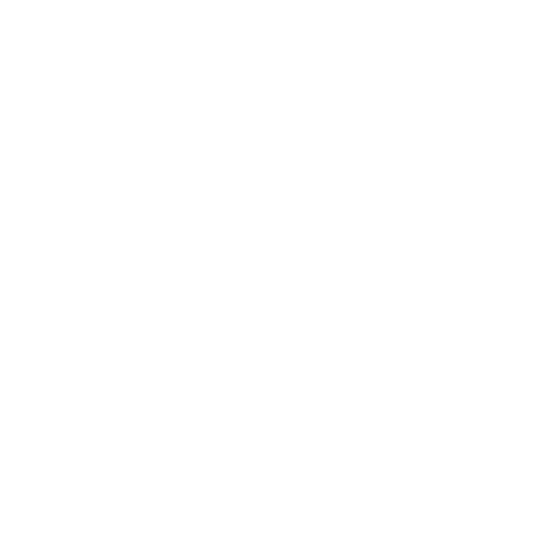Romashka Consulting