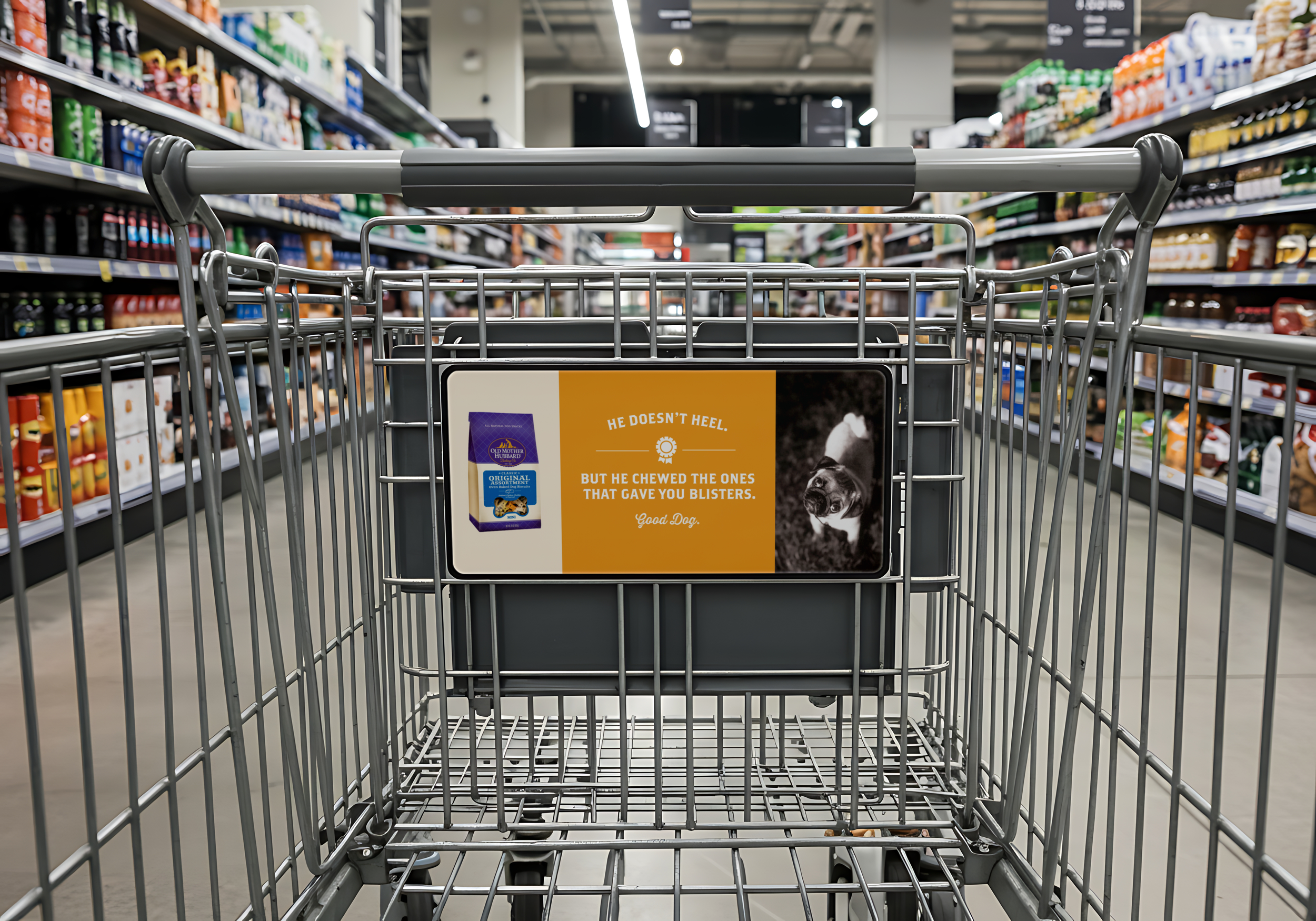 OMH_heel_buggy mock.png