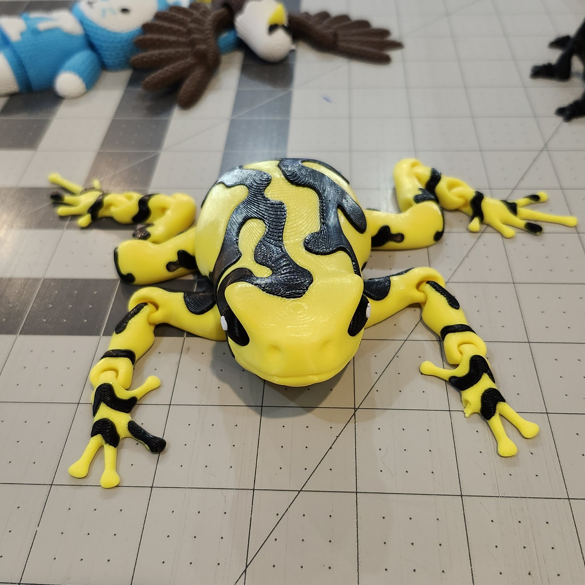 Poison Dart Frog, by Holly Ripley