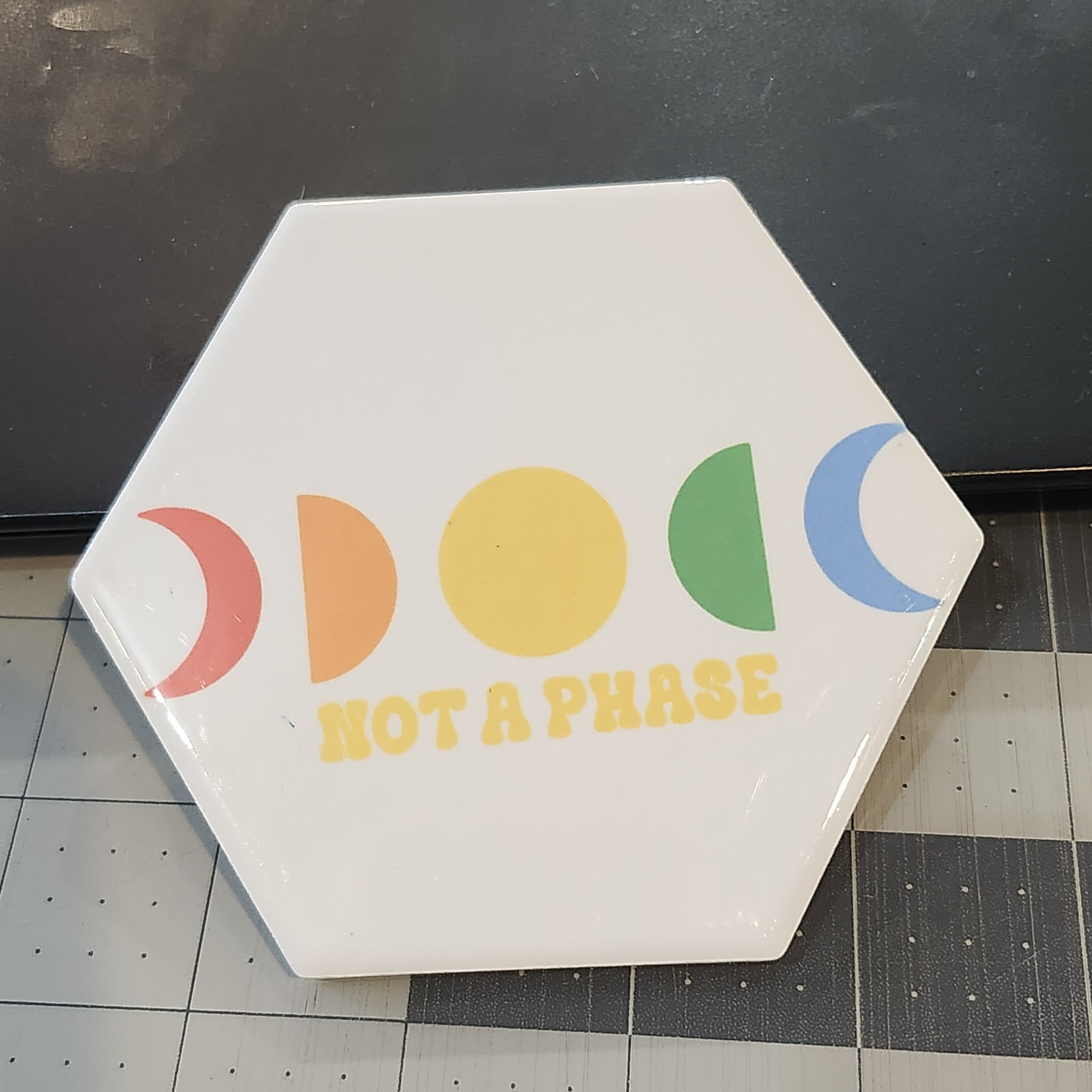 Pride Coaster by Laura