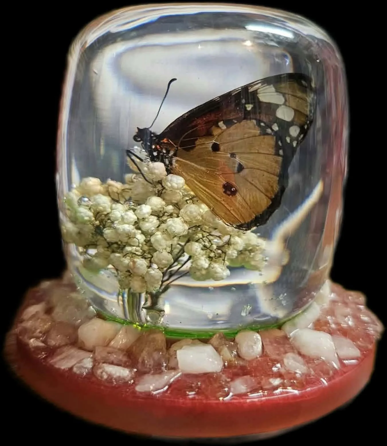 Glasswing Butterfly Lamp by 3DRAWcreations