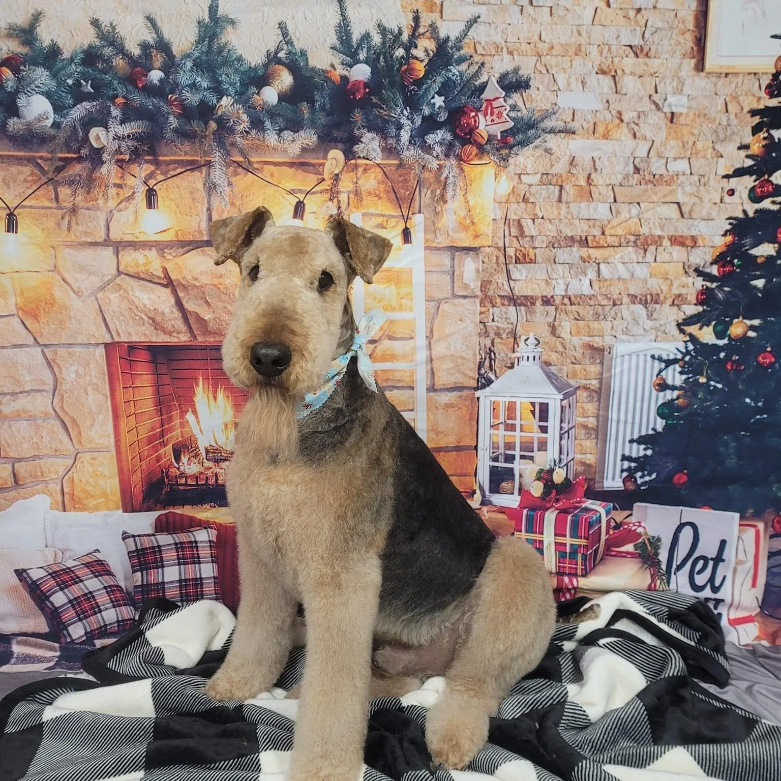 Pawsitive Inspirations is at Wonders By Women