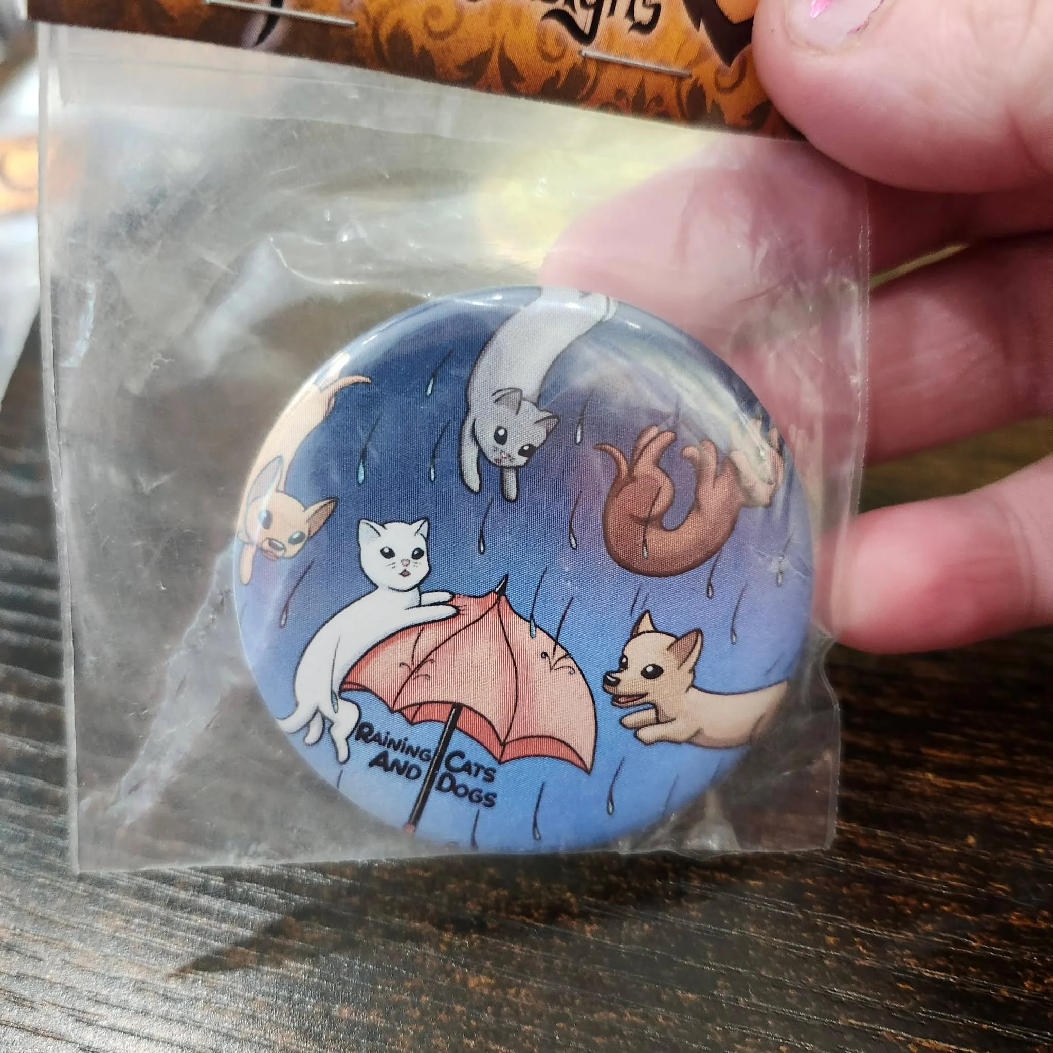 It's Raining Cat's and Dog's, pin by Lionheart Art and Designs