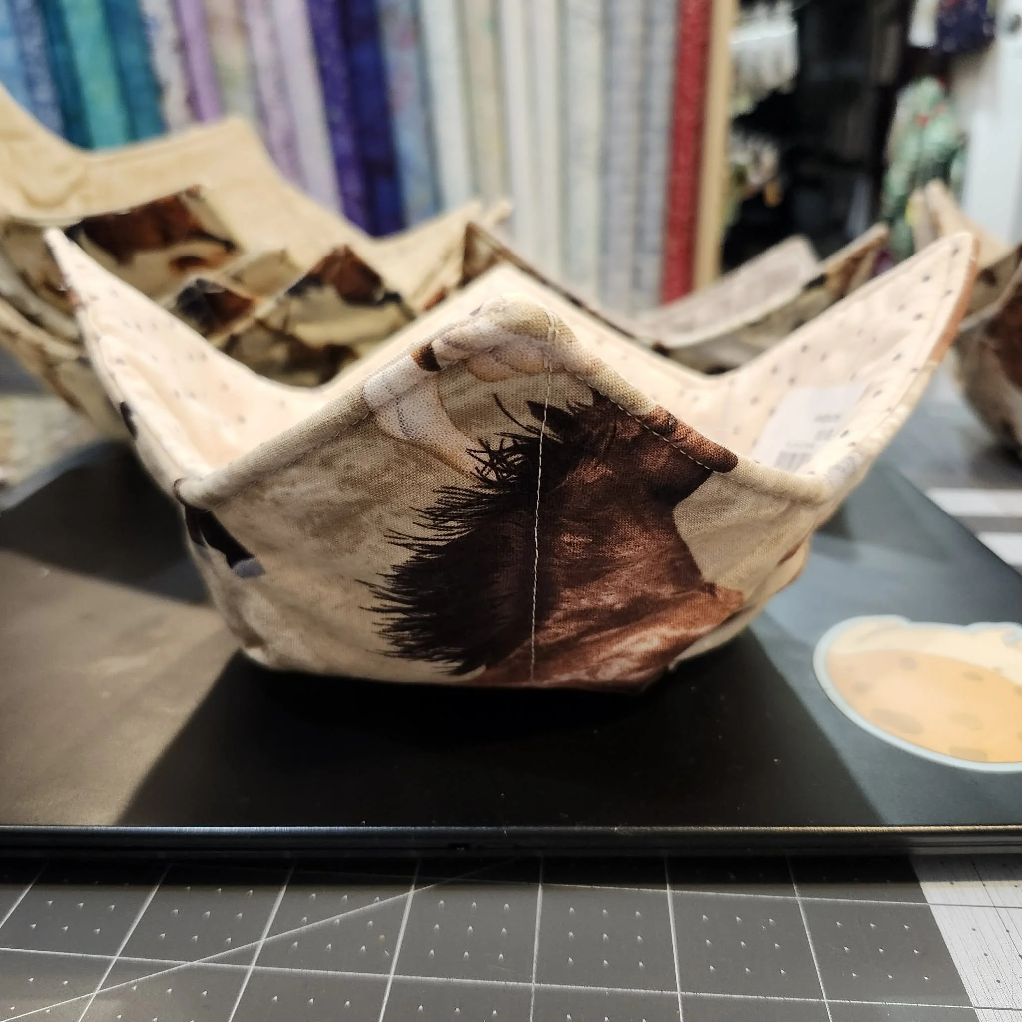Horse Themed Bowl Cozies