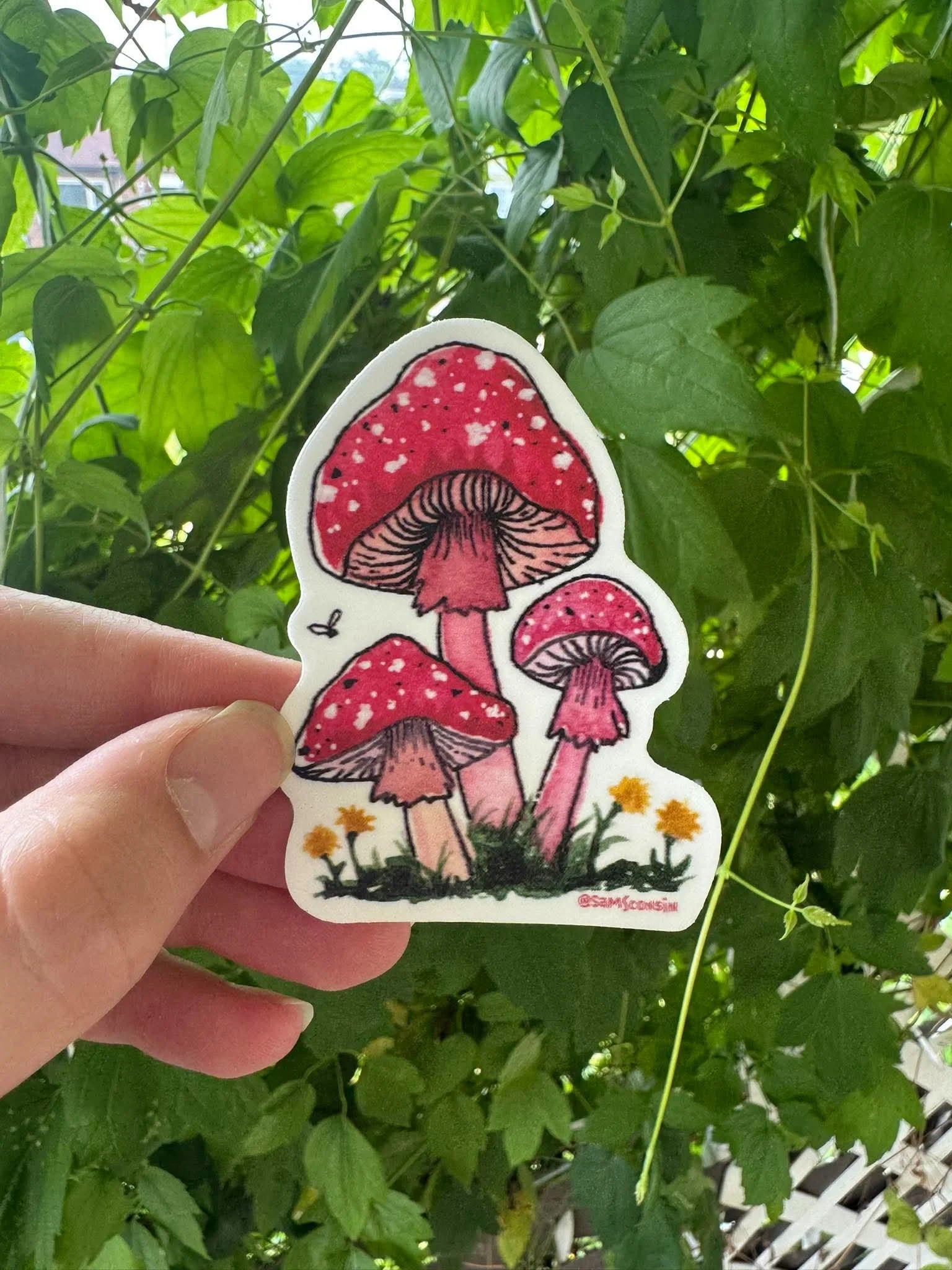 Red Cap Mushroom , Sticker Decal by SamSconsin