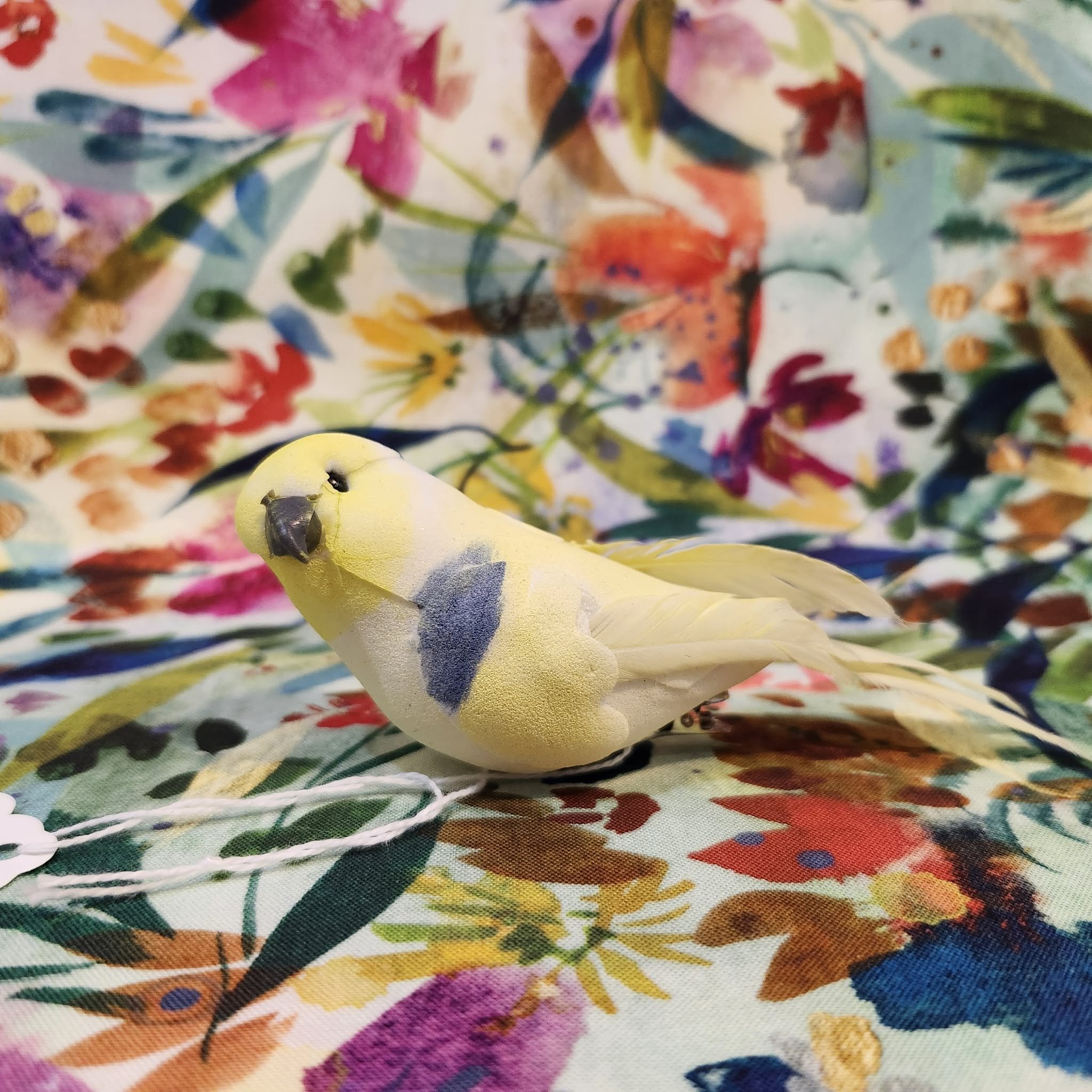 Parakeet by Michelle LeBrun