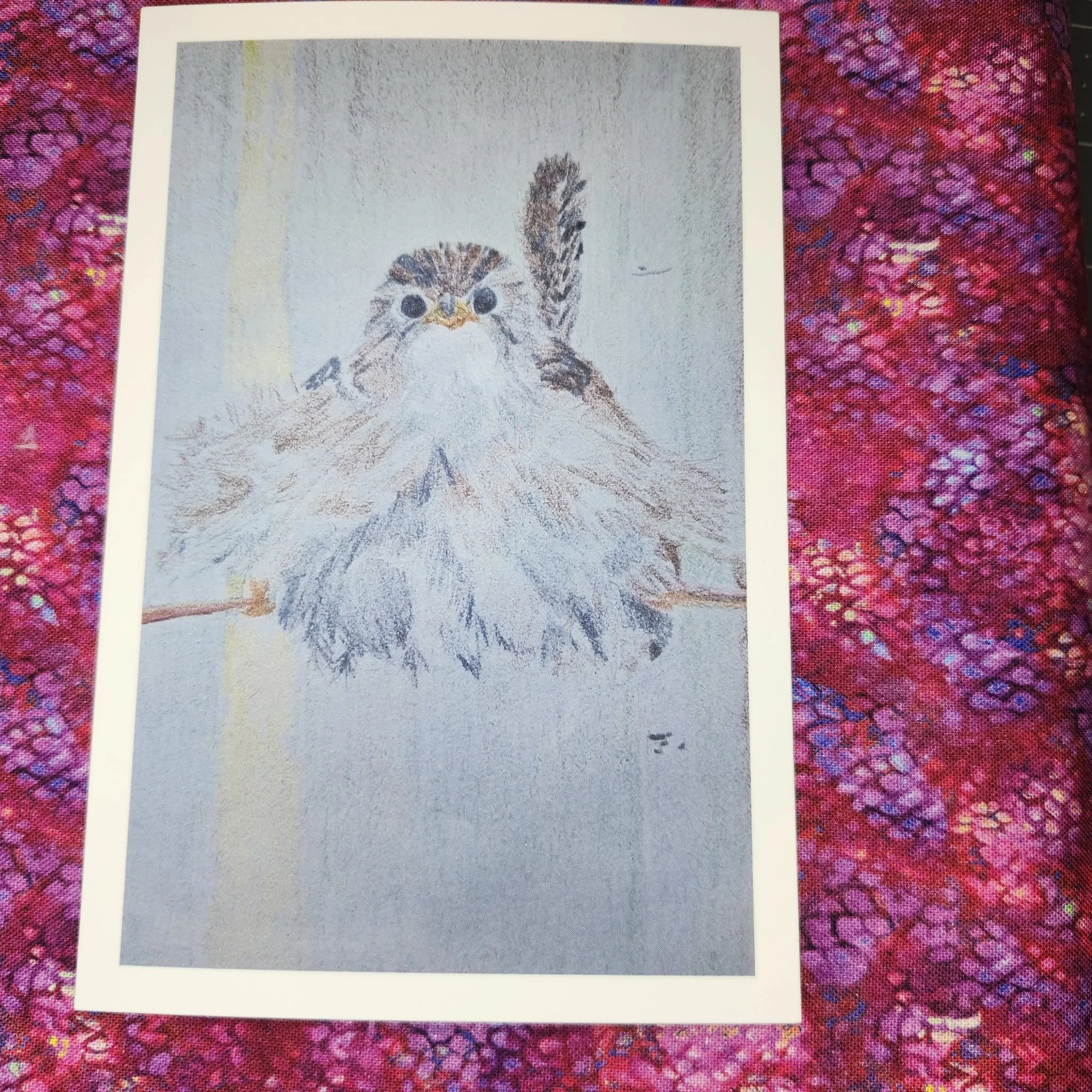4X6 Wren Print by Michelle LeBrun