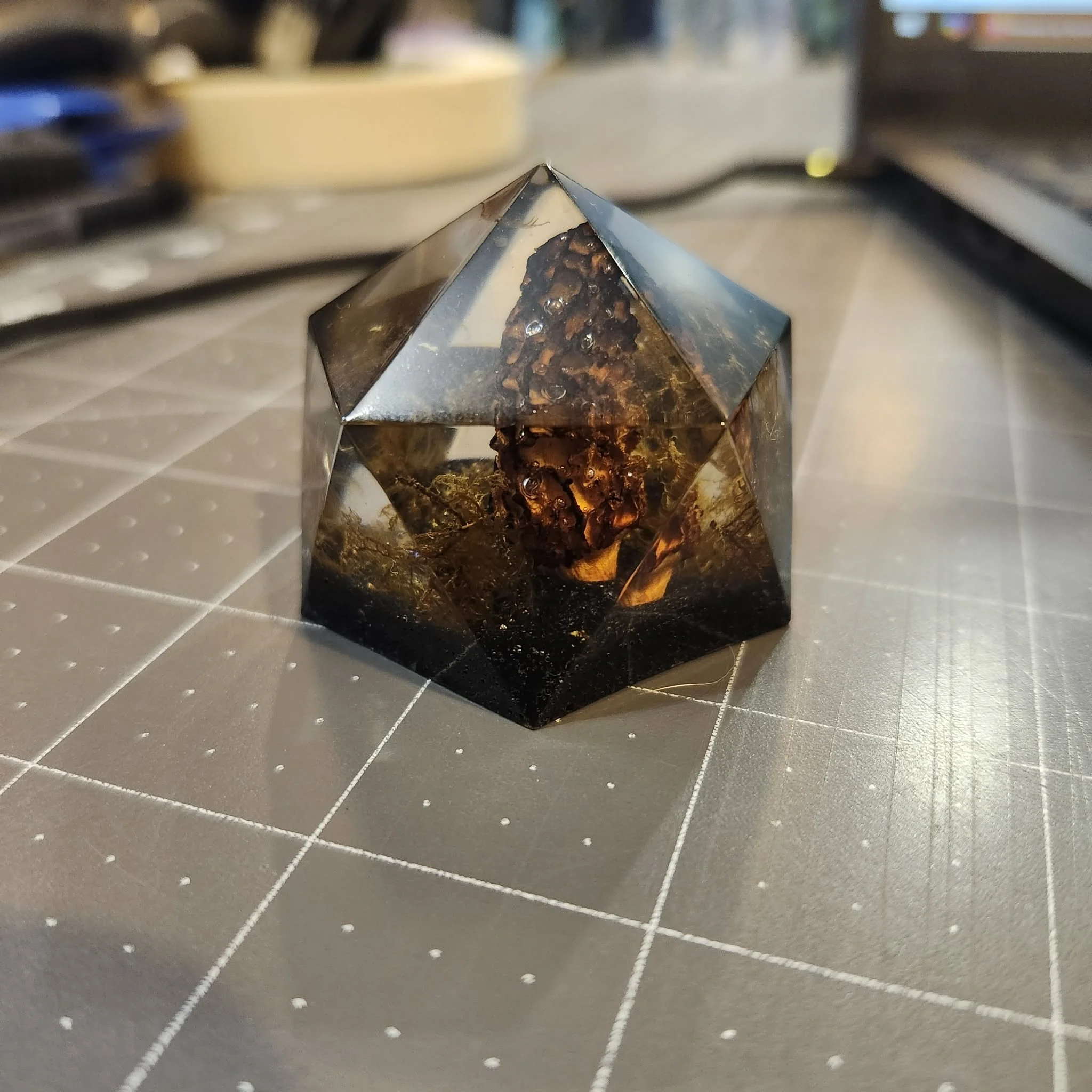 Tridecagon Morel Display by 3DRAWcreations