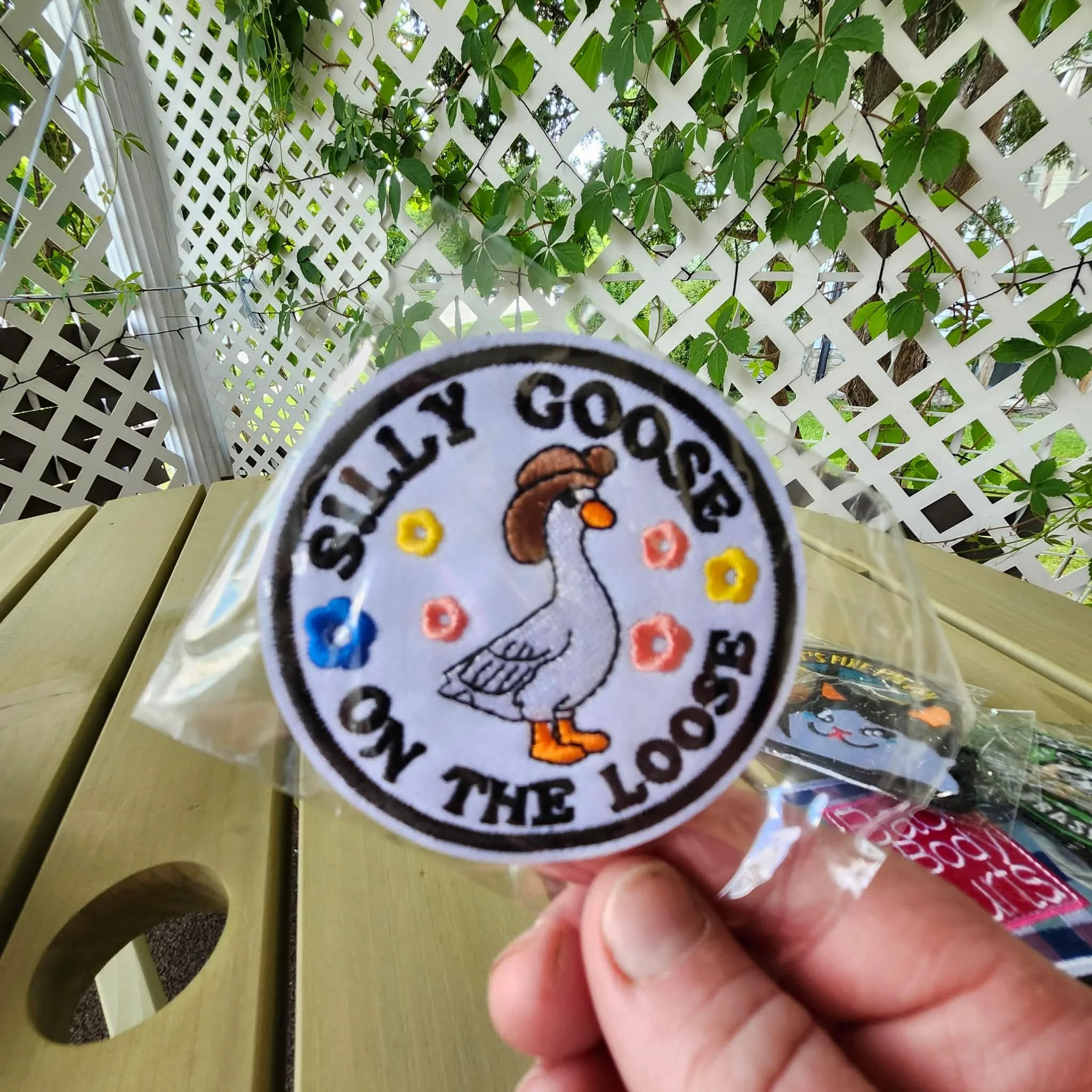 Silly Goose