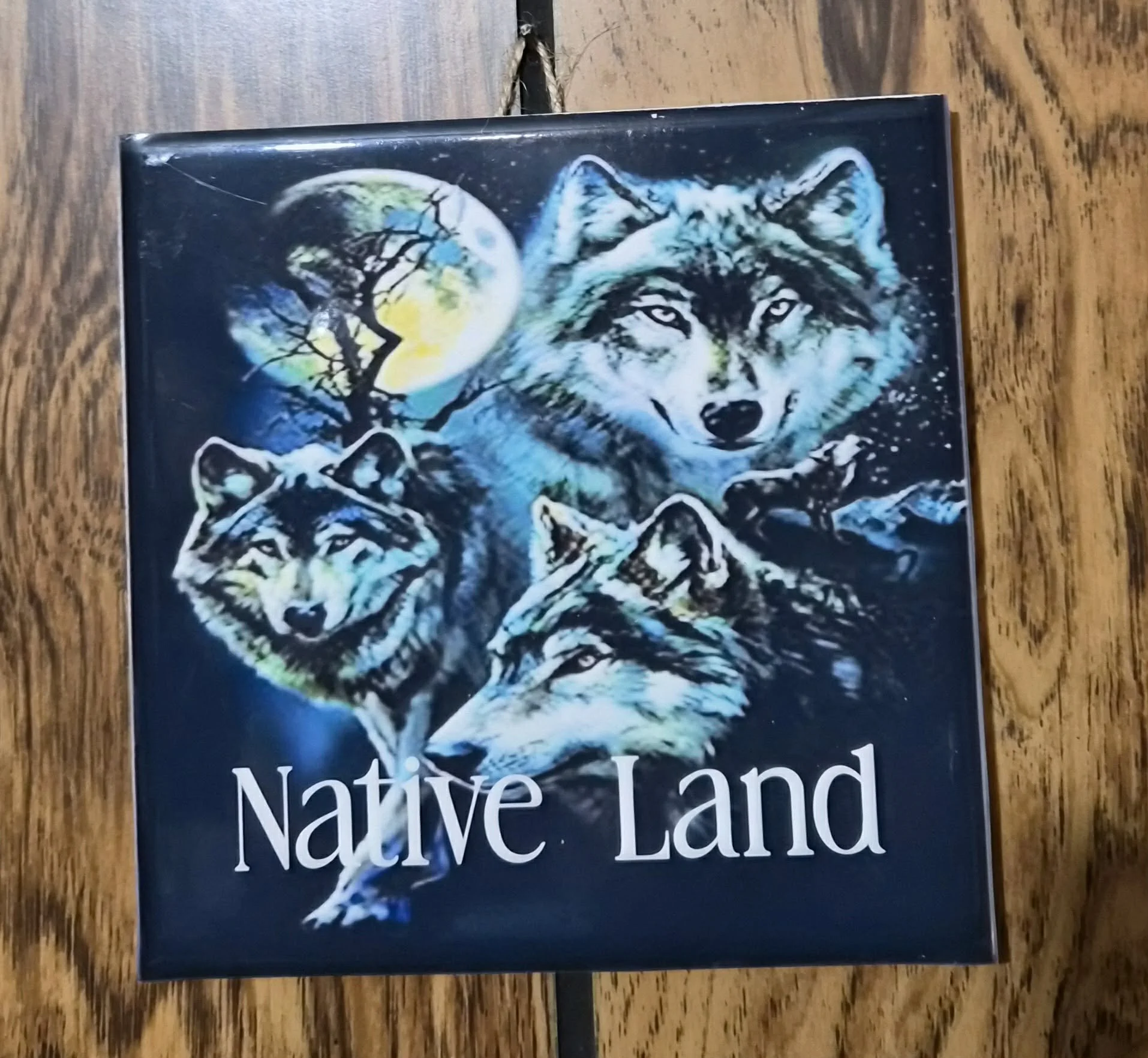 Native Land by Patty