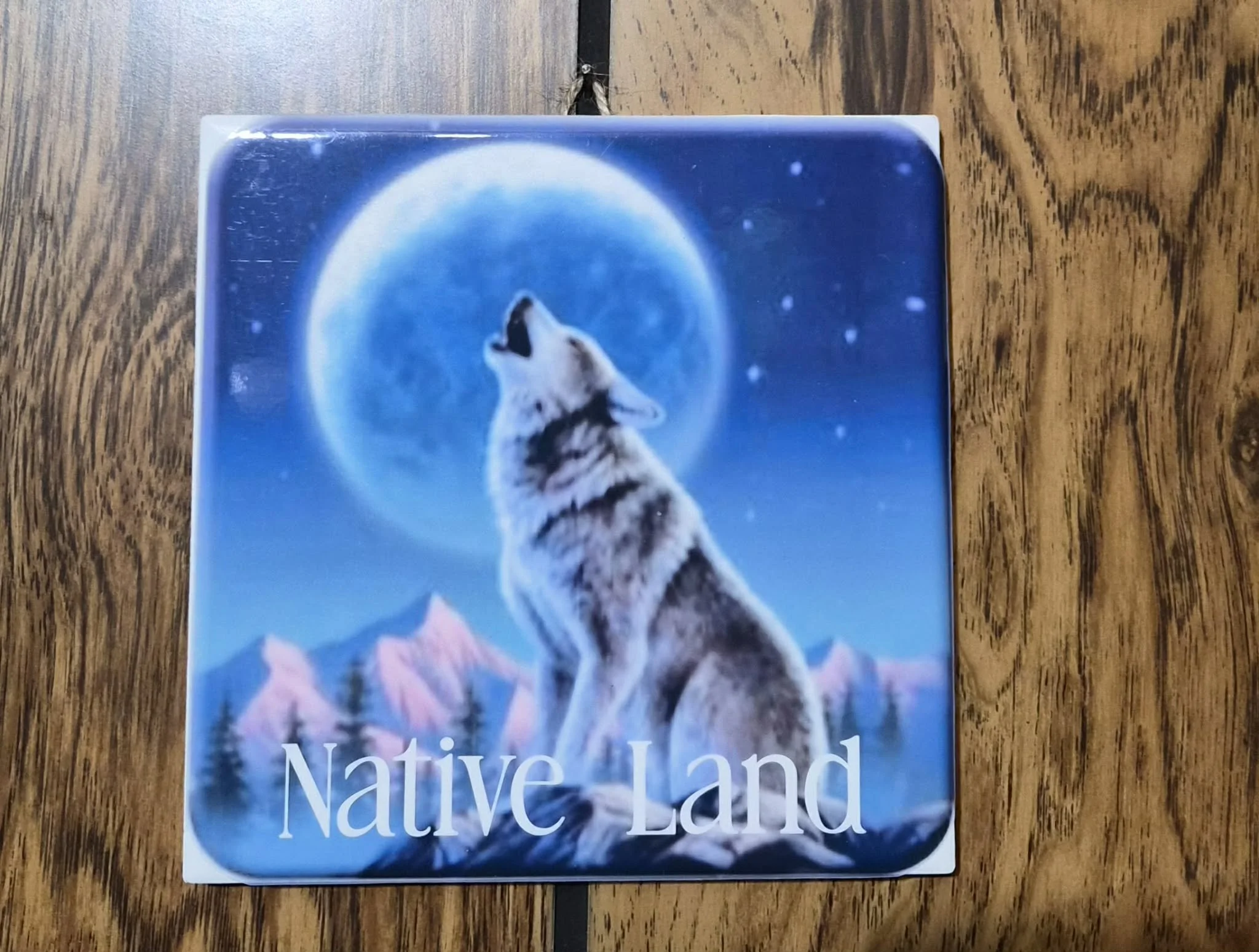 Native Land by Patty