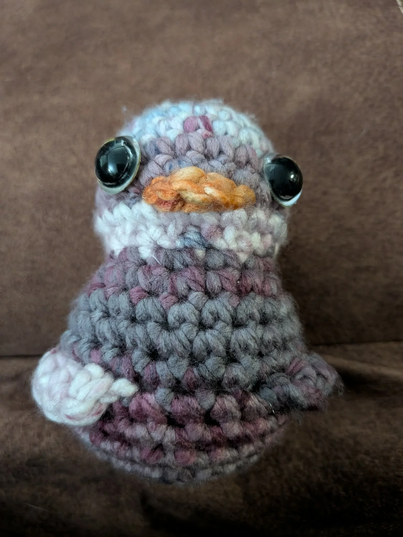 Pigeon Duck by Kit Designs