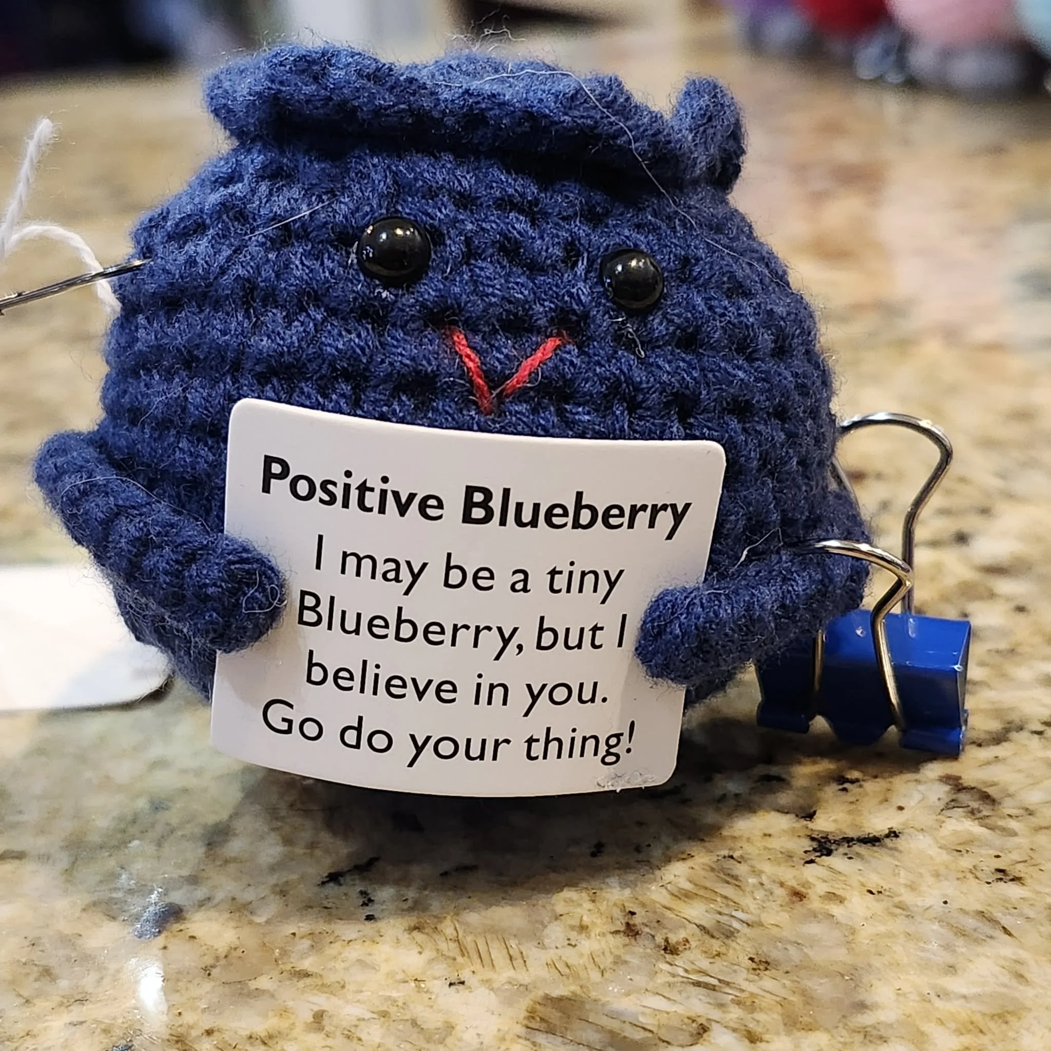 Positive Blueberry