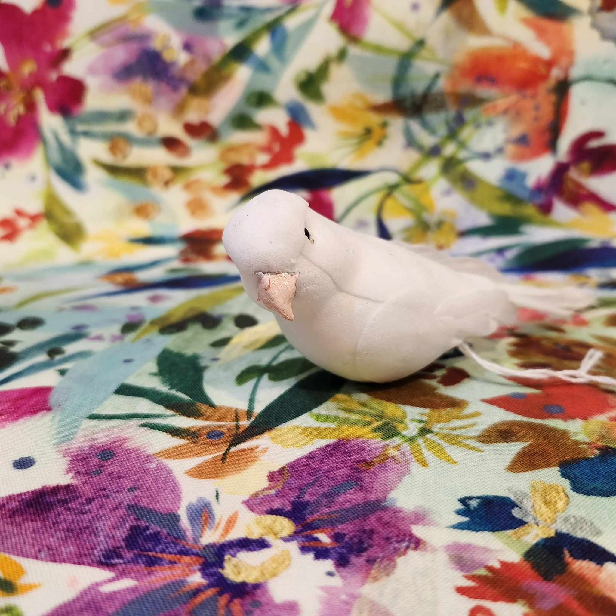 Parakeet by Michelle Lebrun