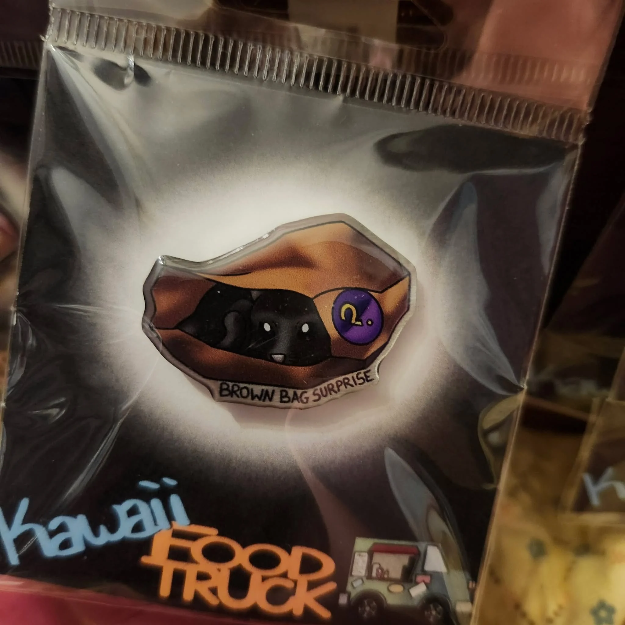 Brown Bag Surprise  Pin by Lionheart Art and Designs