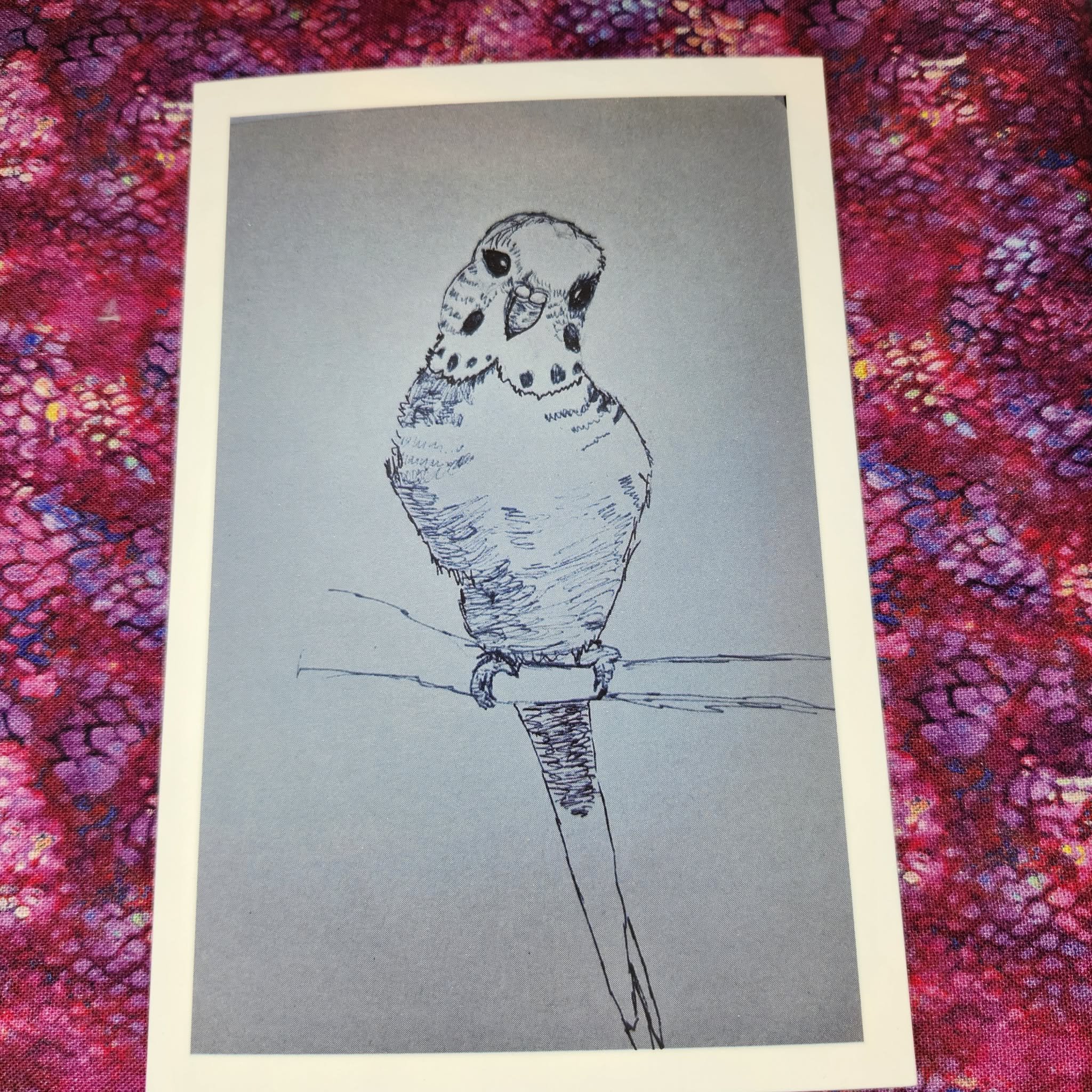 4X5 Parakeet Print