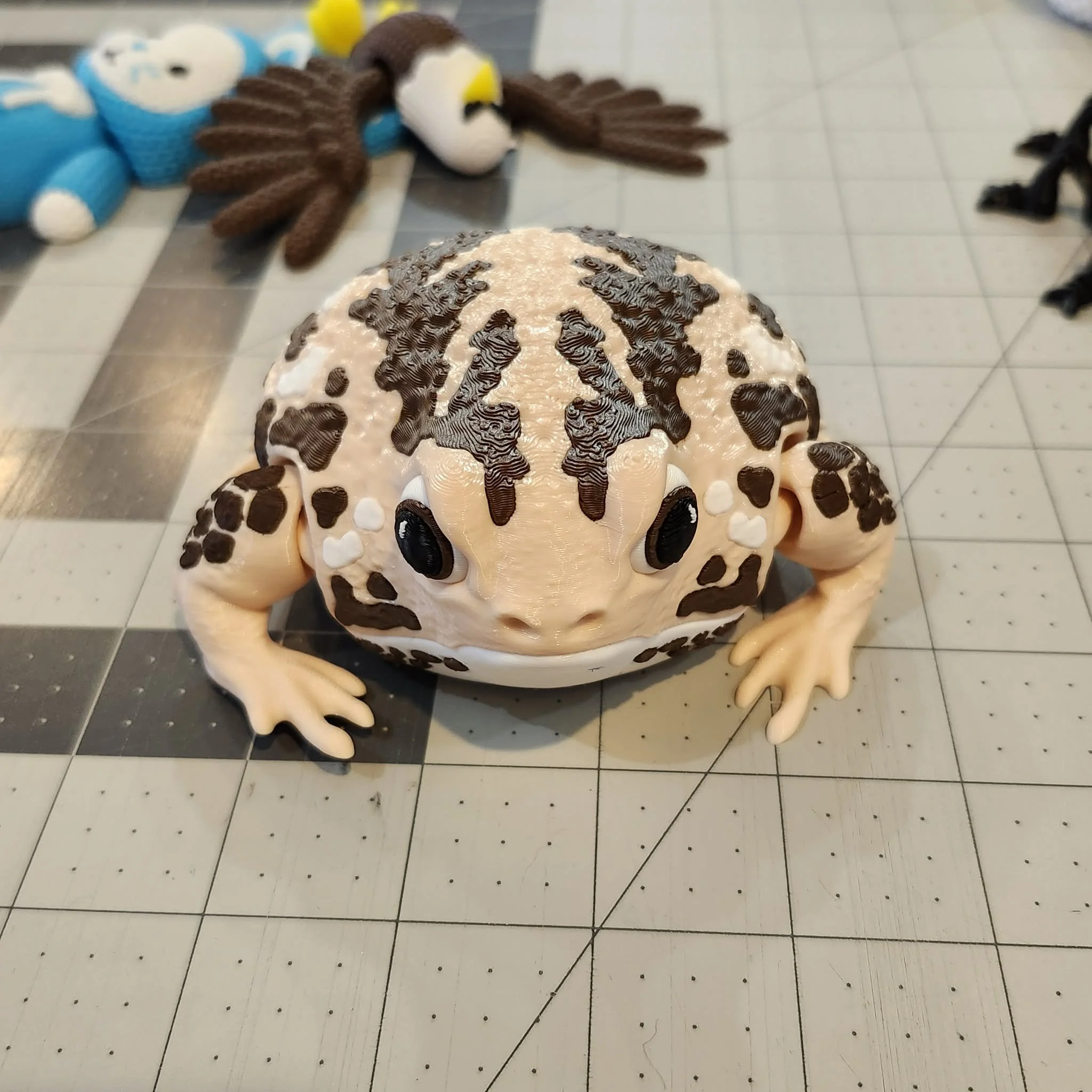 Pacman Frog, by Holly Ripley